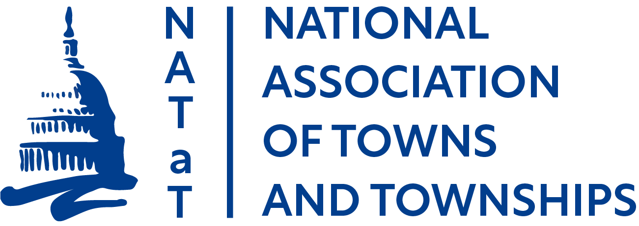Logo of the National Association of Towns and Townships featuring a stylized blue depiction of a building and the organization's name in blue text.