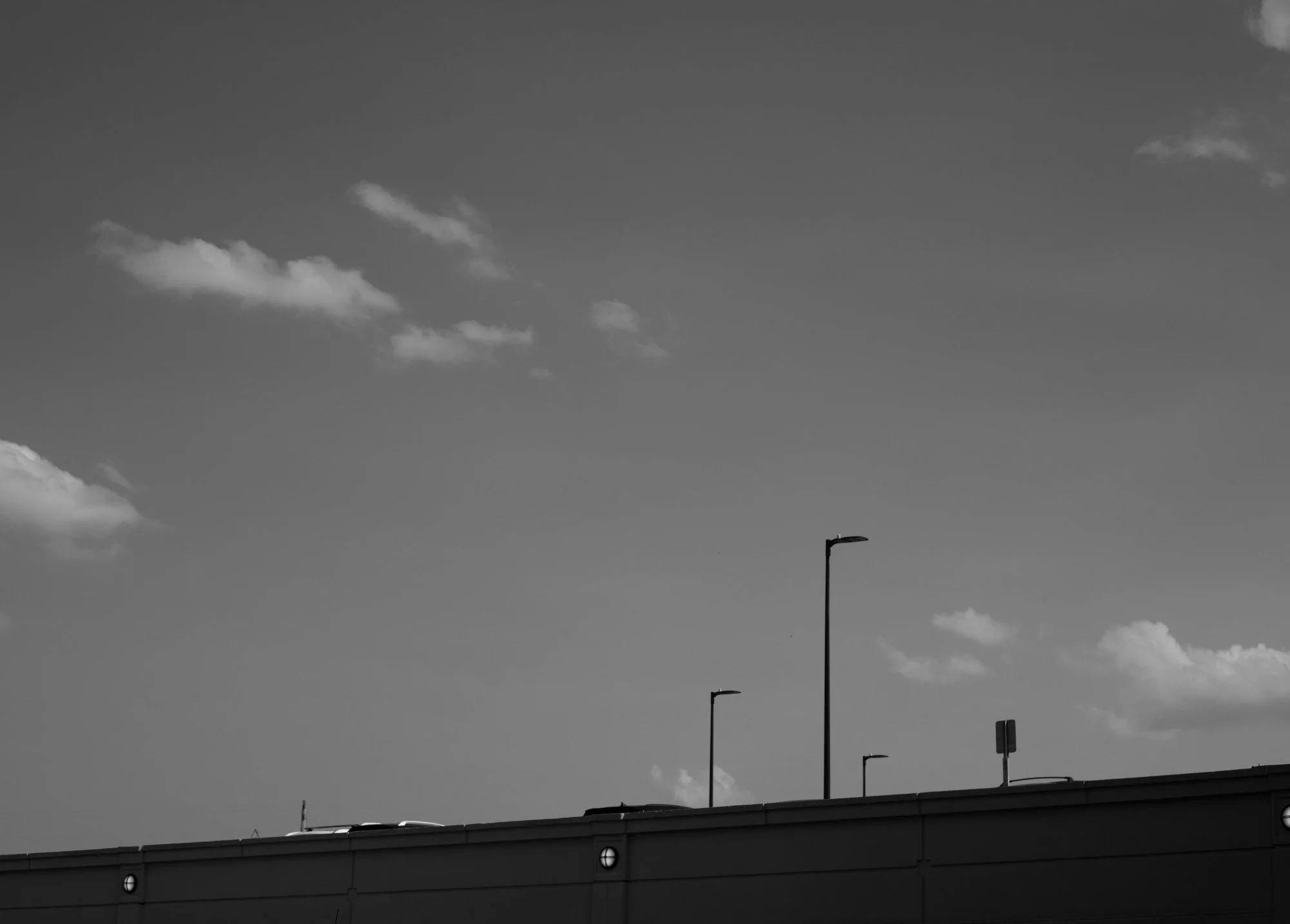 _DSC3131.jpg