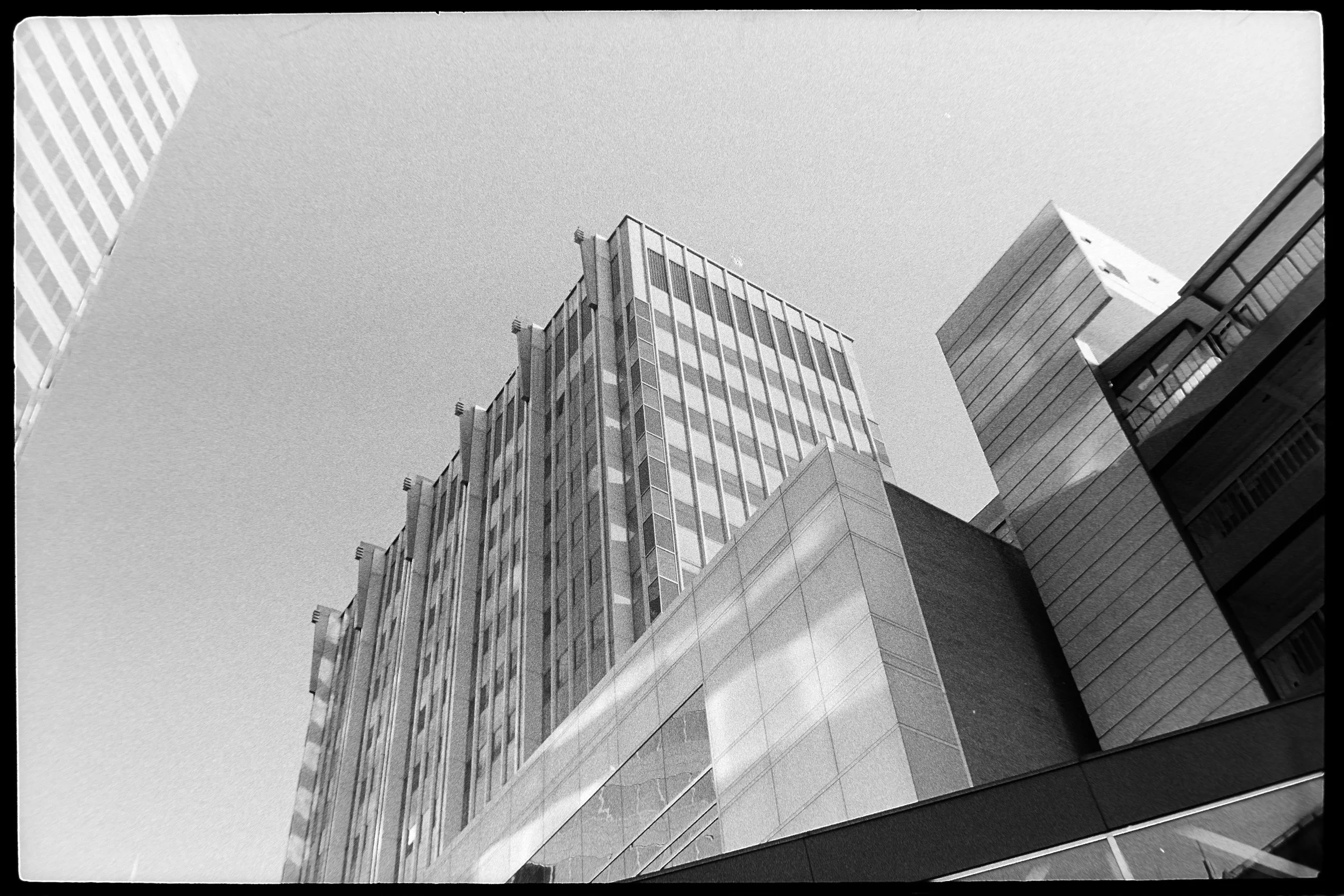 Canon P, 35mm f/2.8, Ilford HP5