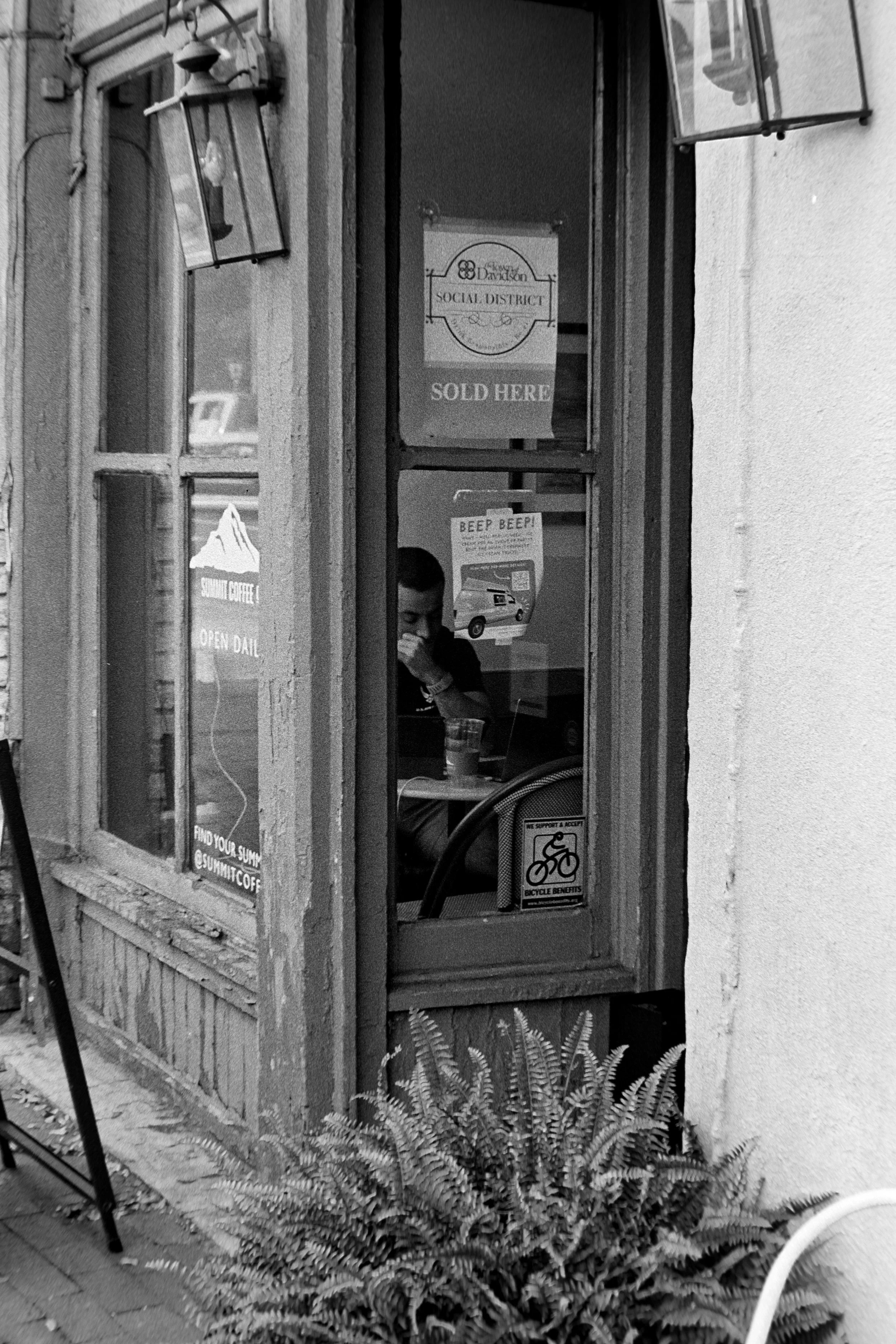 Canon P, 50mm F/1.4, Ilford HP5