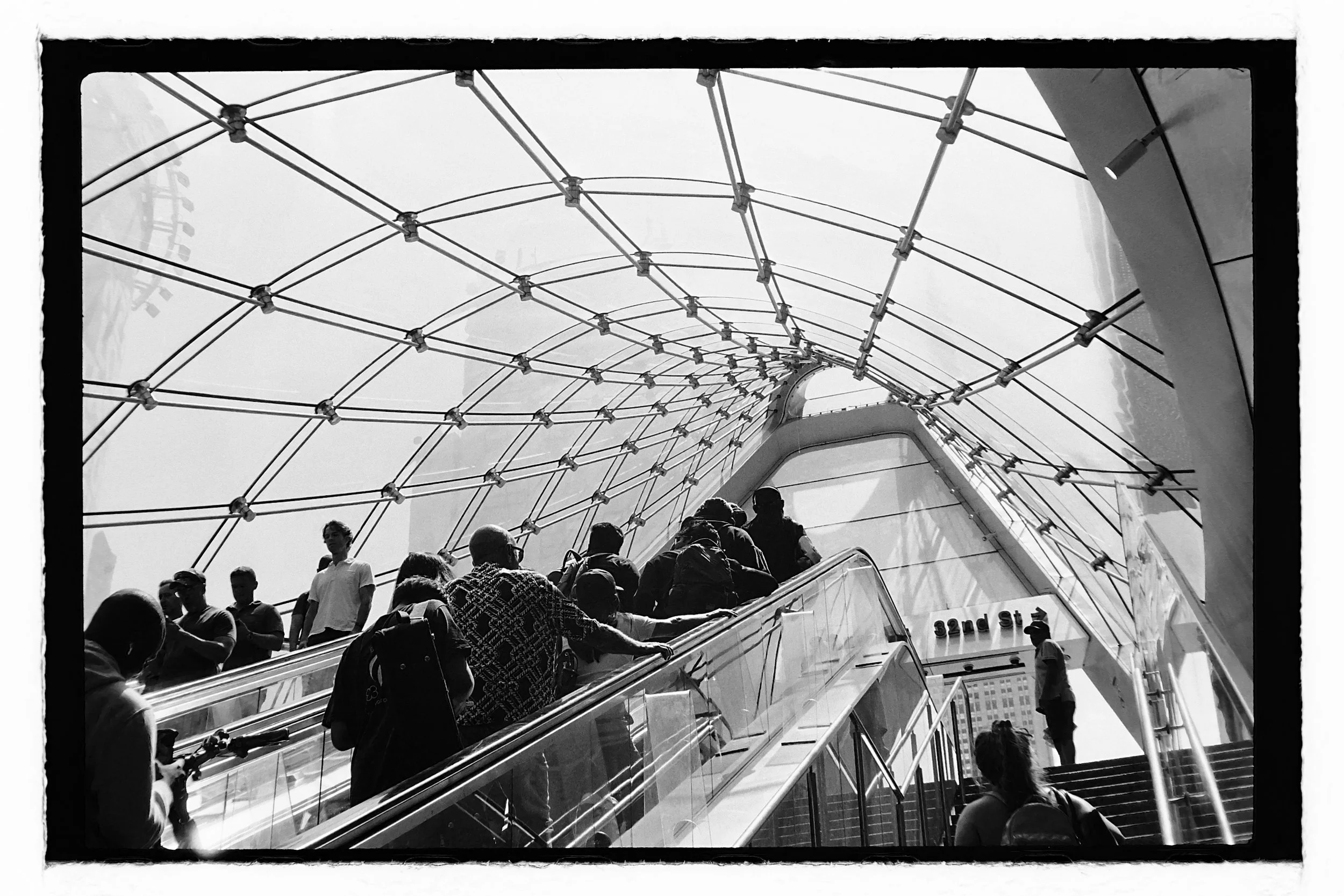 Canon P, 50mm f/1.4, Ilford HP5