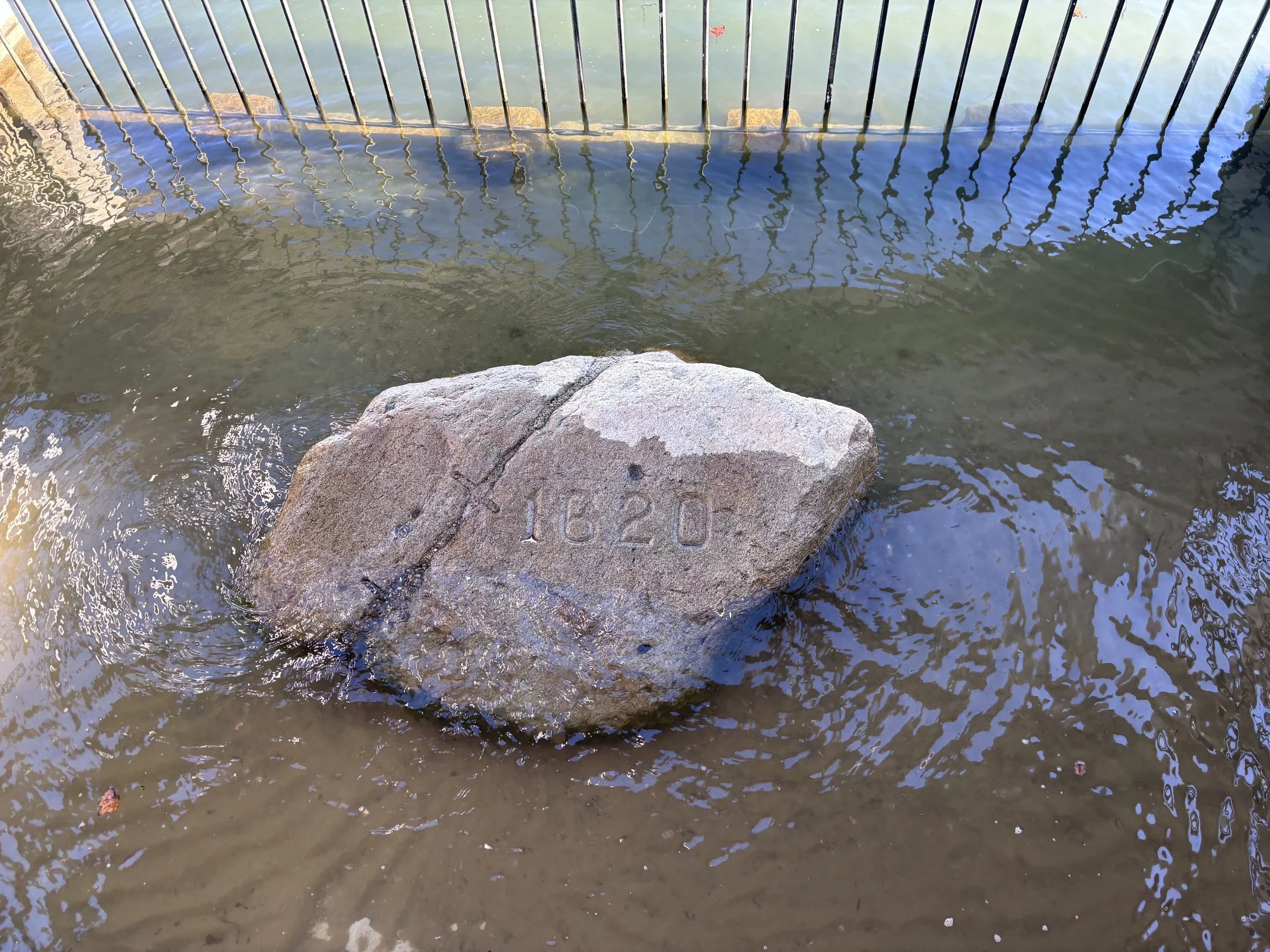 Plymouth Rock.jpeg