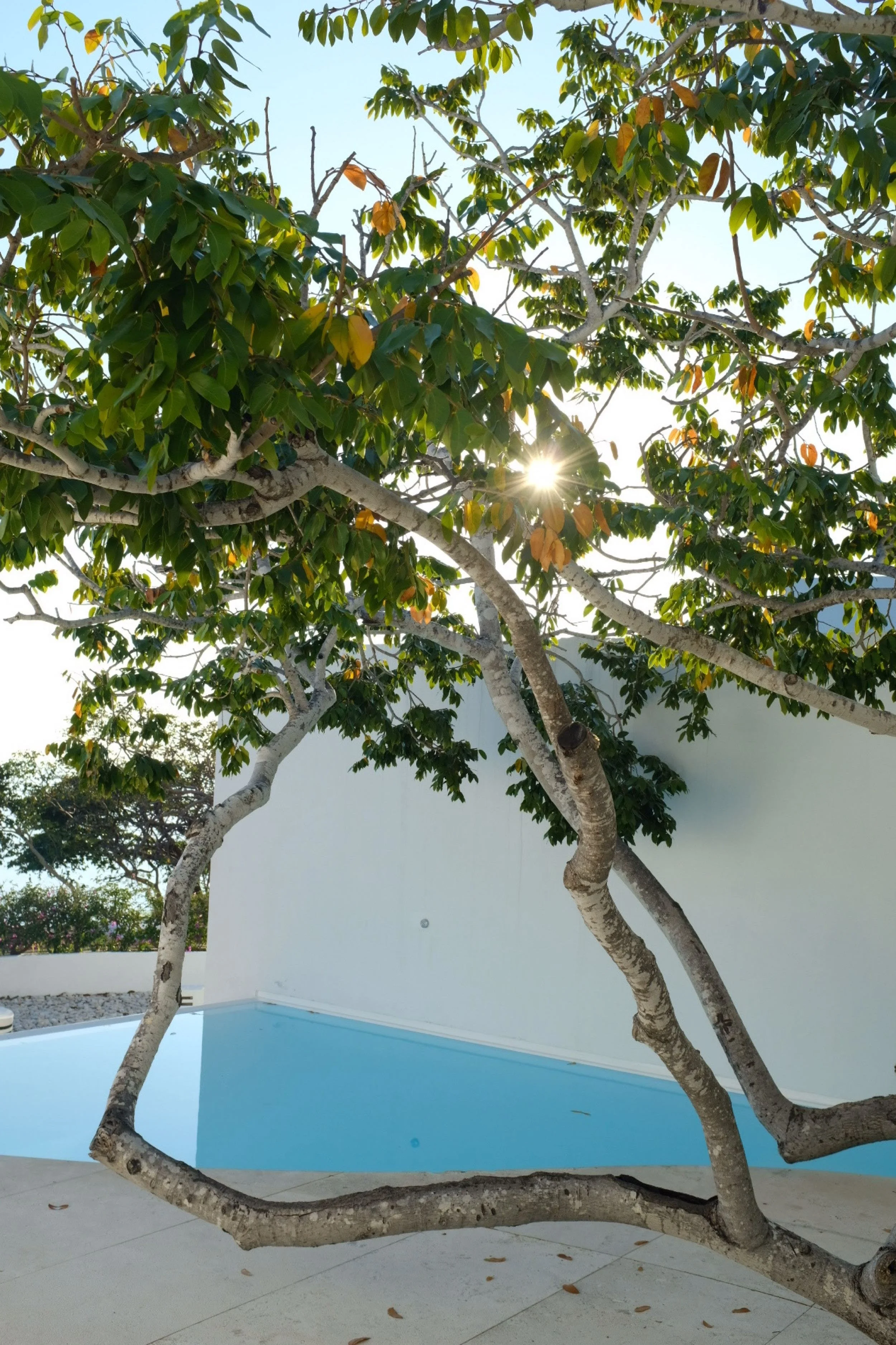 Espejo de agua privado en Ocean Pool Villa de Hotel Encanto Acapulco. Atmósfera poética de quietud y luz natural.