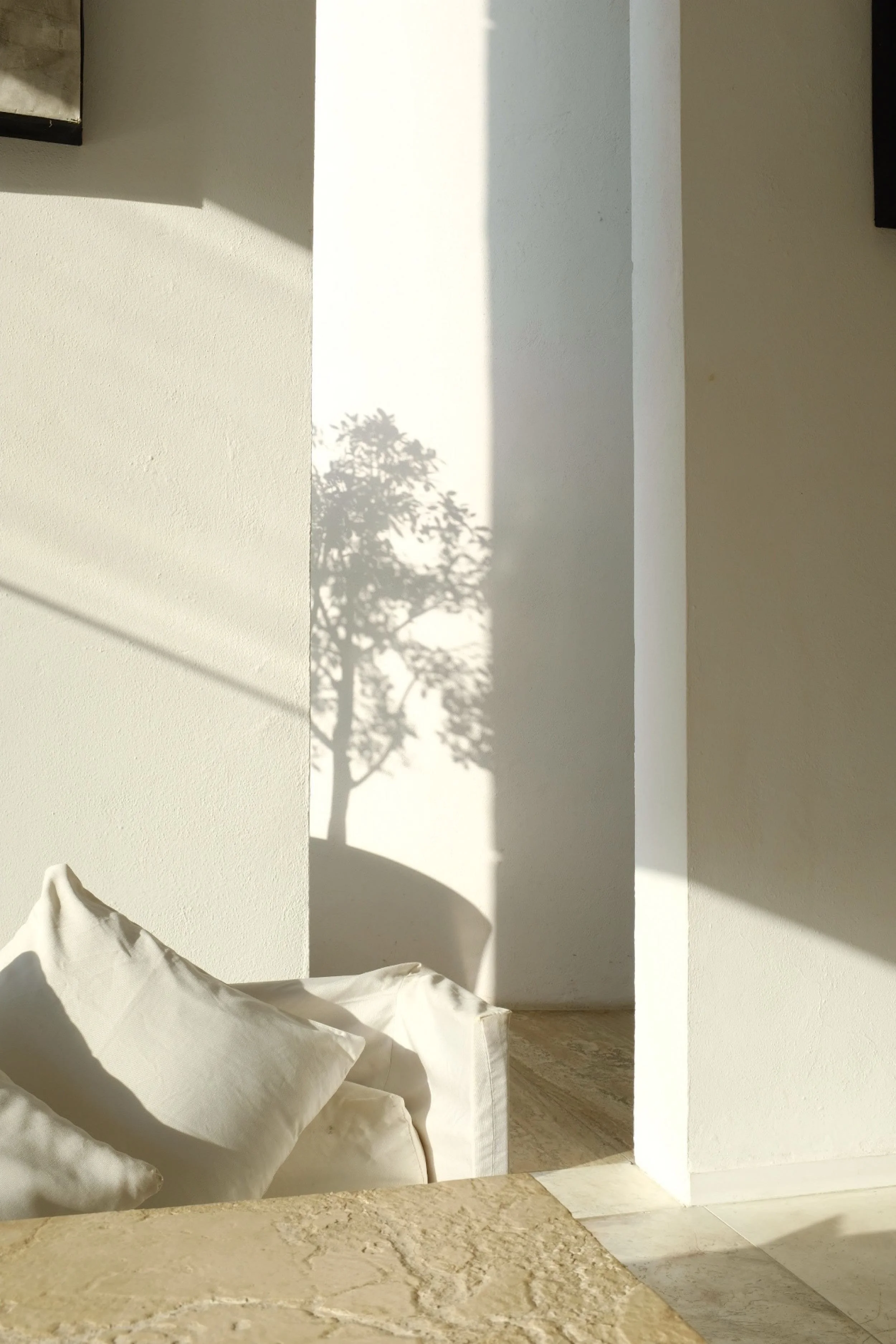 Sombras de vegetación tropical proyectadas sobre el muro monolítico de una suite de diseño minimalista.
