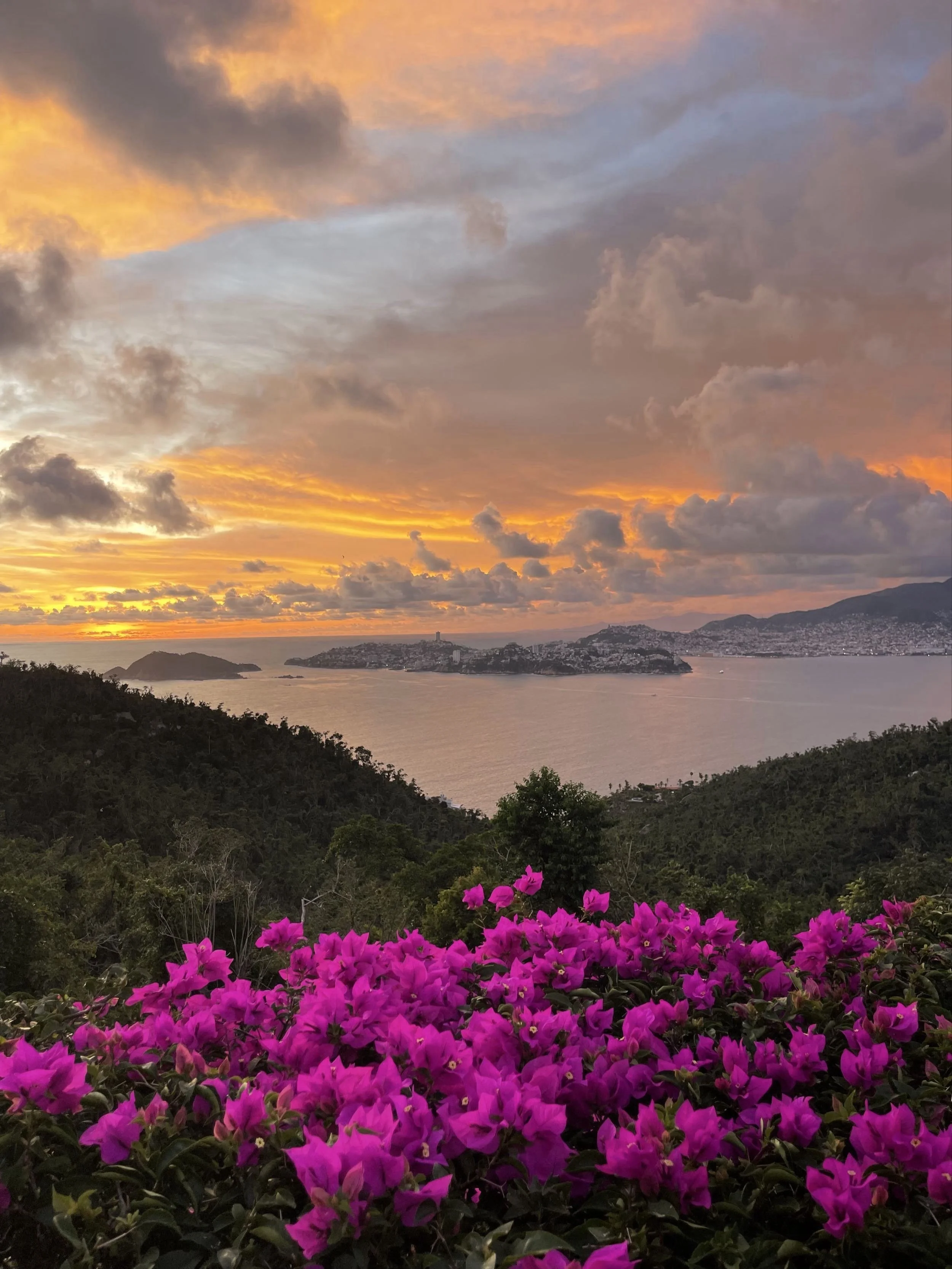 Terraza exclusiva con vista panorámica al mar Pacífico en el resort boutique Encanto Acapulco. Fotografía de Joe Fletcher. Flores en colors magenta y vegetacion abundante.