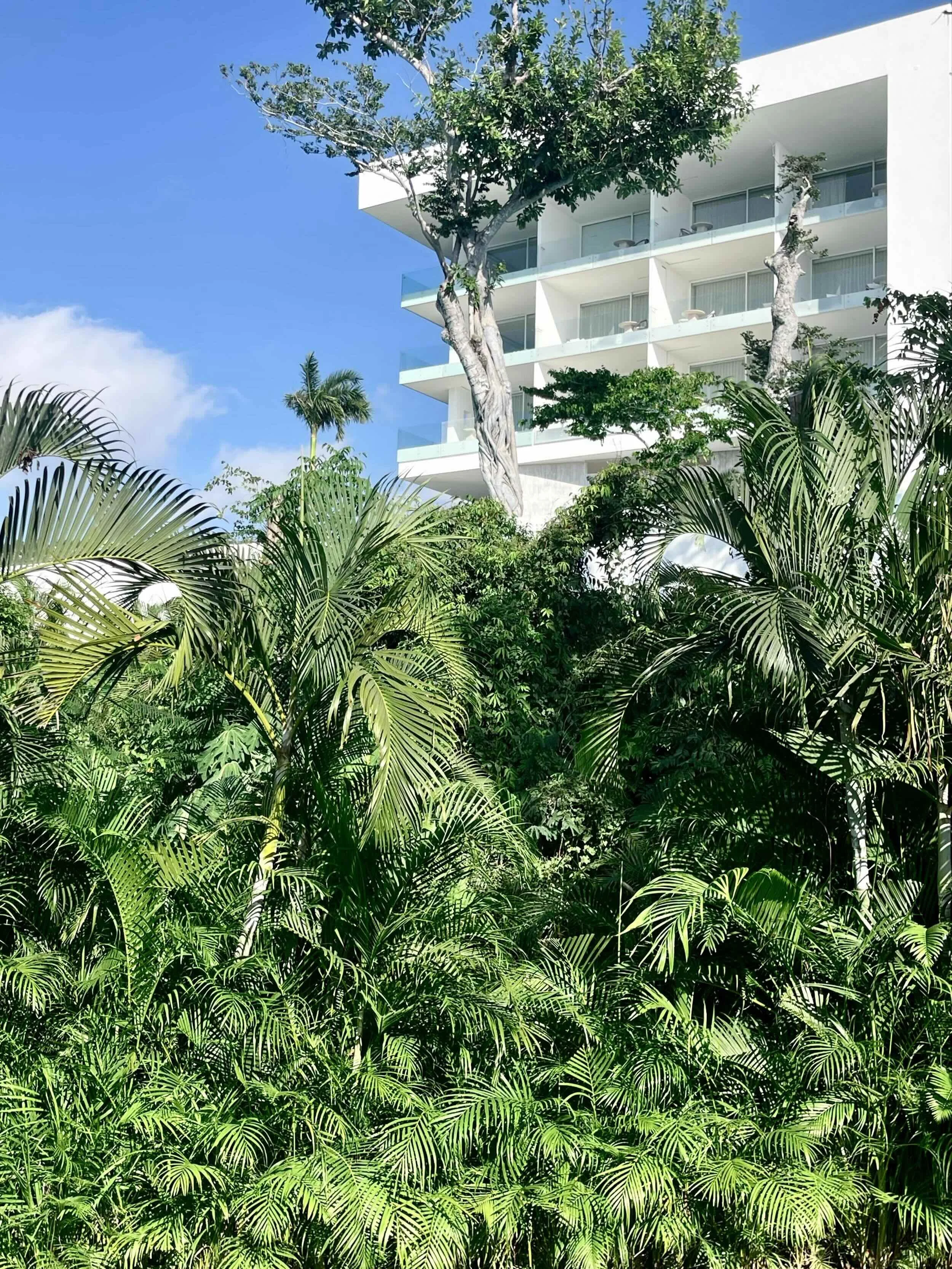 Fachada minimalista de concreto blanco rodeada de vegetación tropical en Hotel Encanto Acapulco, de Taller Aragonés.