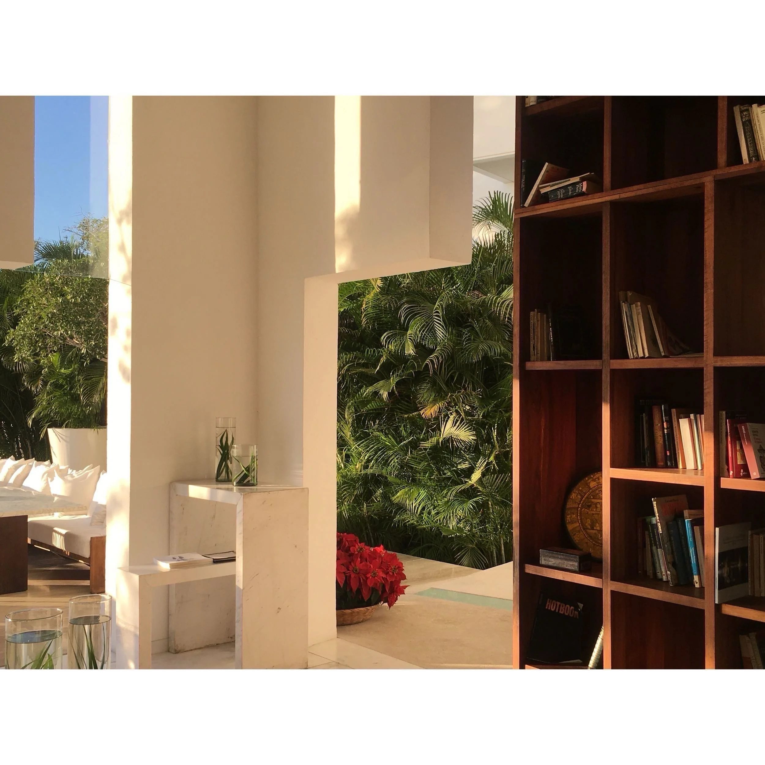 Estancia de líneas puras con mobiliario sutil, libros y vegetación iluminada por la luz natural cambiante.