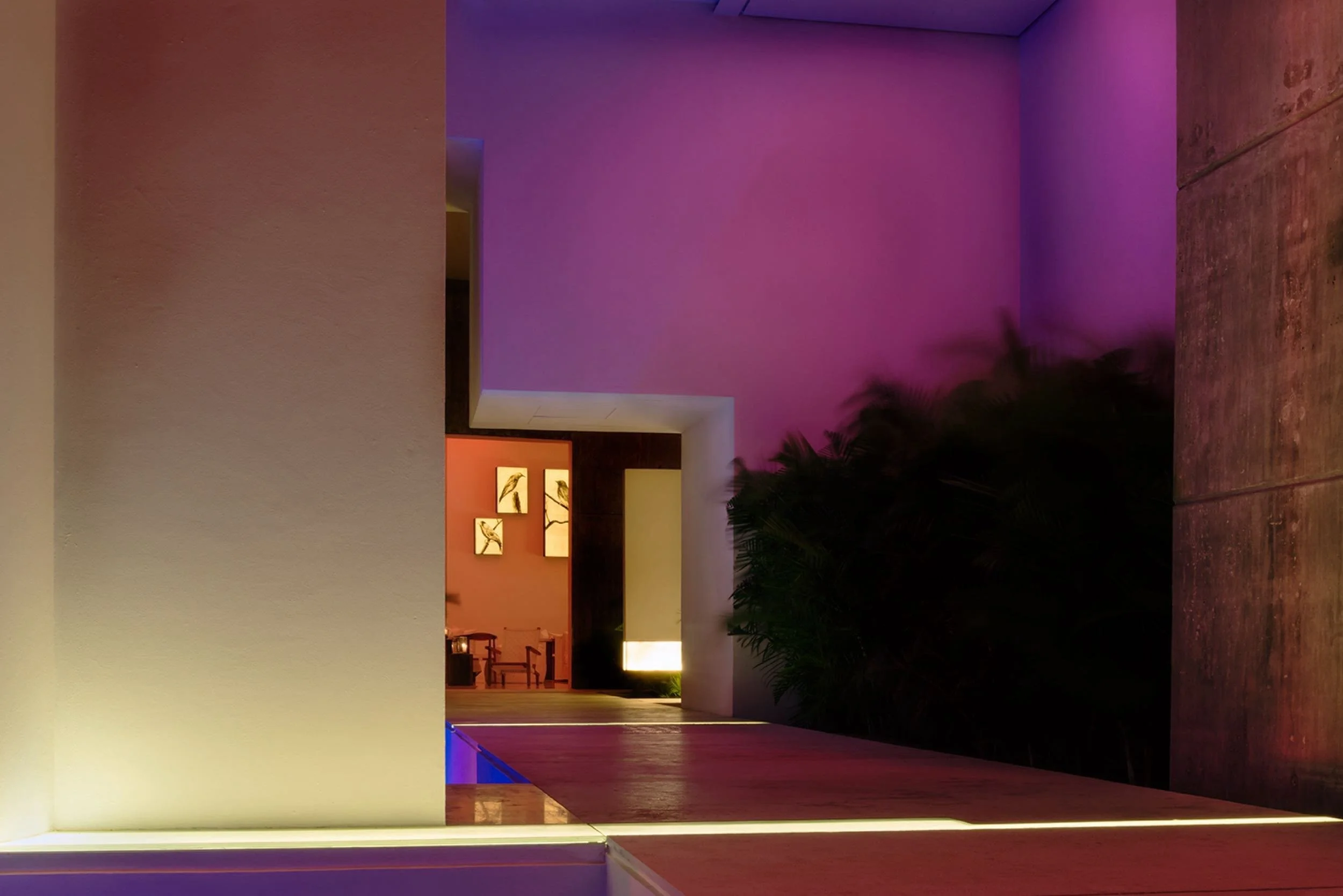 Iluminación artística nocturna y diseño cromático en las instalaciones de lujo de Hotel Encanto Acapulco. Fotografía de Joe Fletcher. Pasillo exterior hacia restaurante Origen.