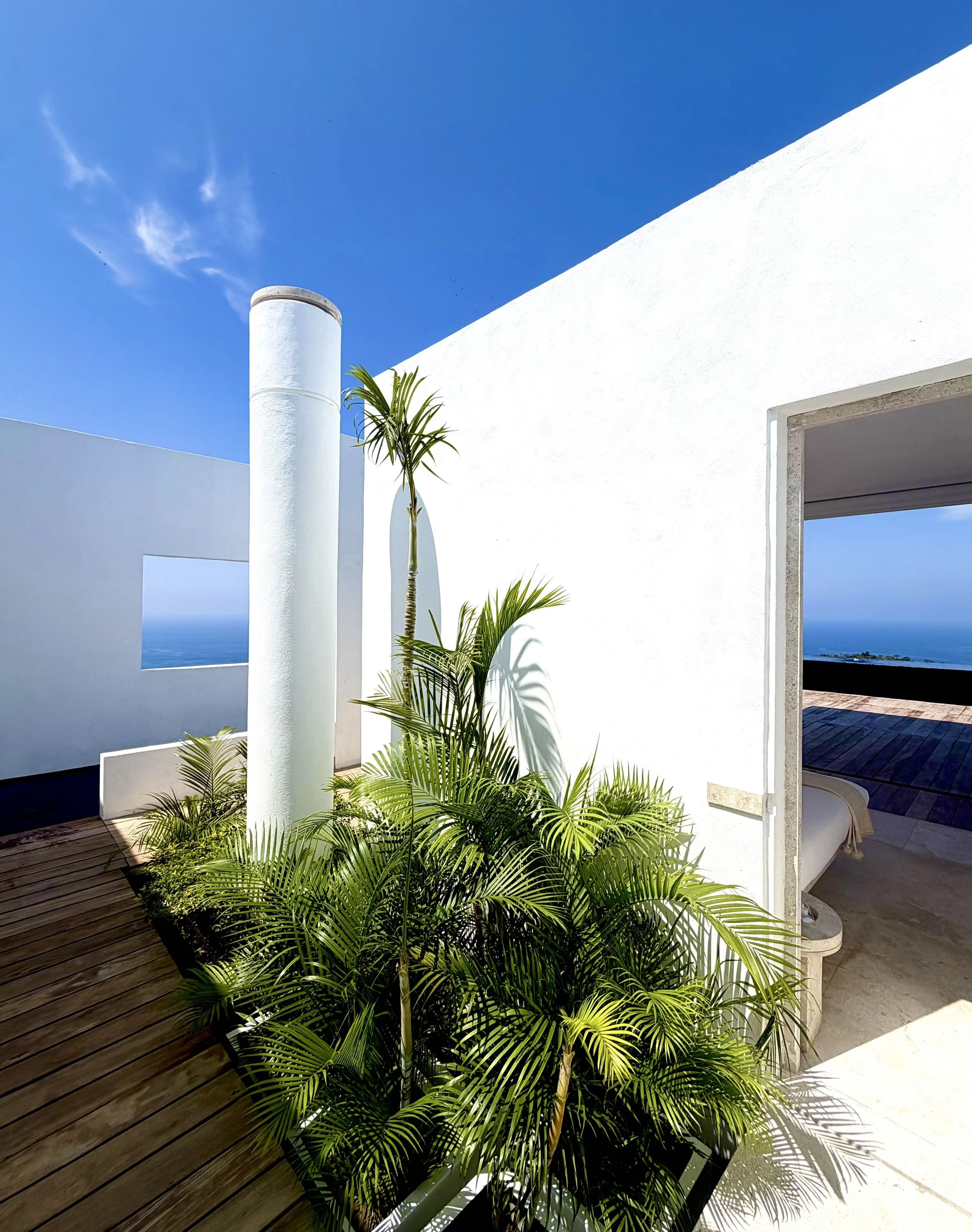 Pasillo de Acceso a Signature Suite en Hotel Encanto. Arquitectura y Vegetación tropical con cielo azul y mar de cortes en el fondo. 