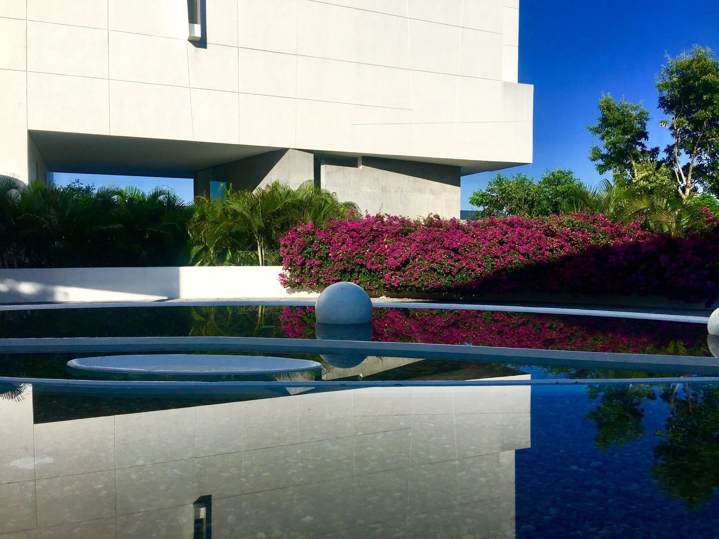Reflejo geométrico sobre agua estática y flores intensas. Hotel Encanto Acapulco por Taller Aragonés.