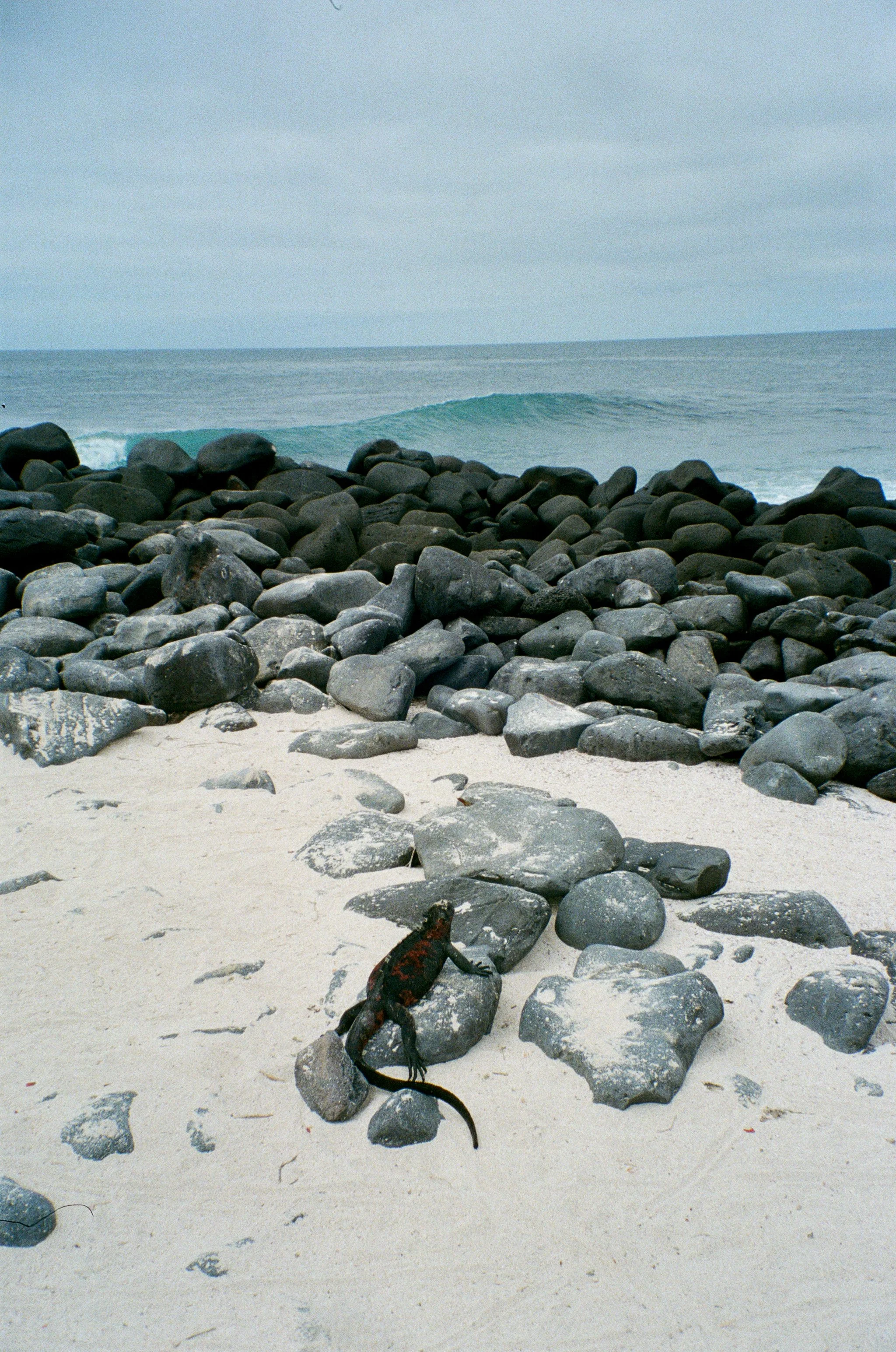 IMG_8886.JPG