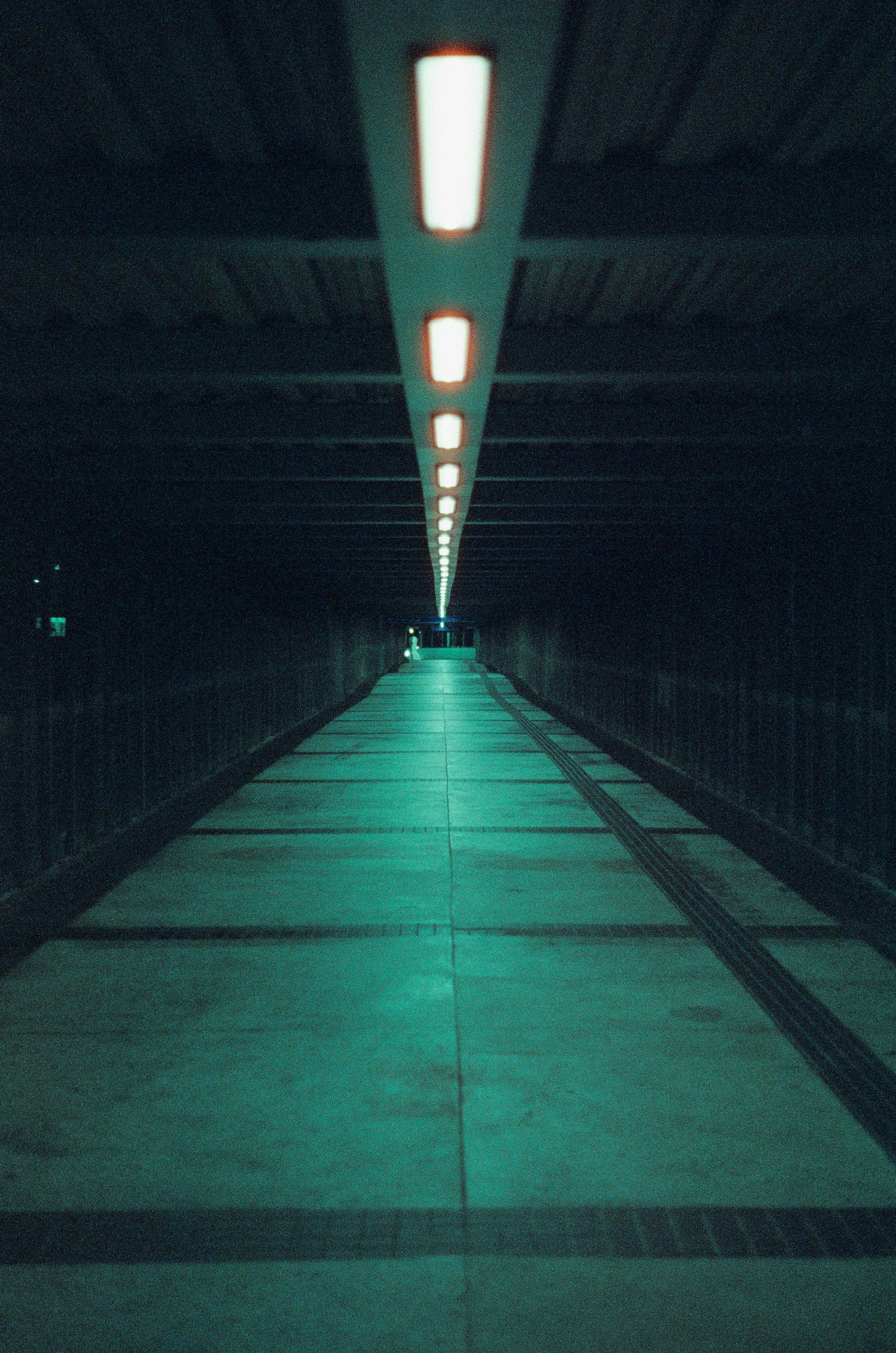 4331-13.jpg