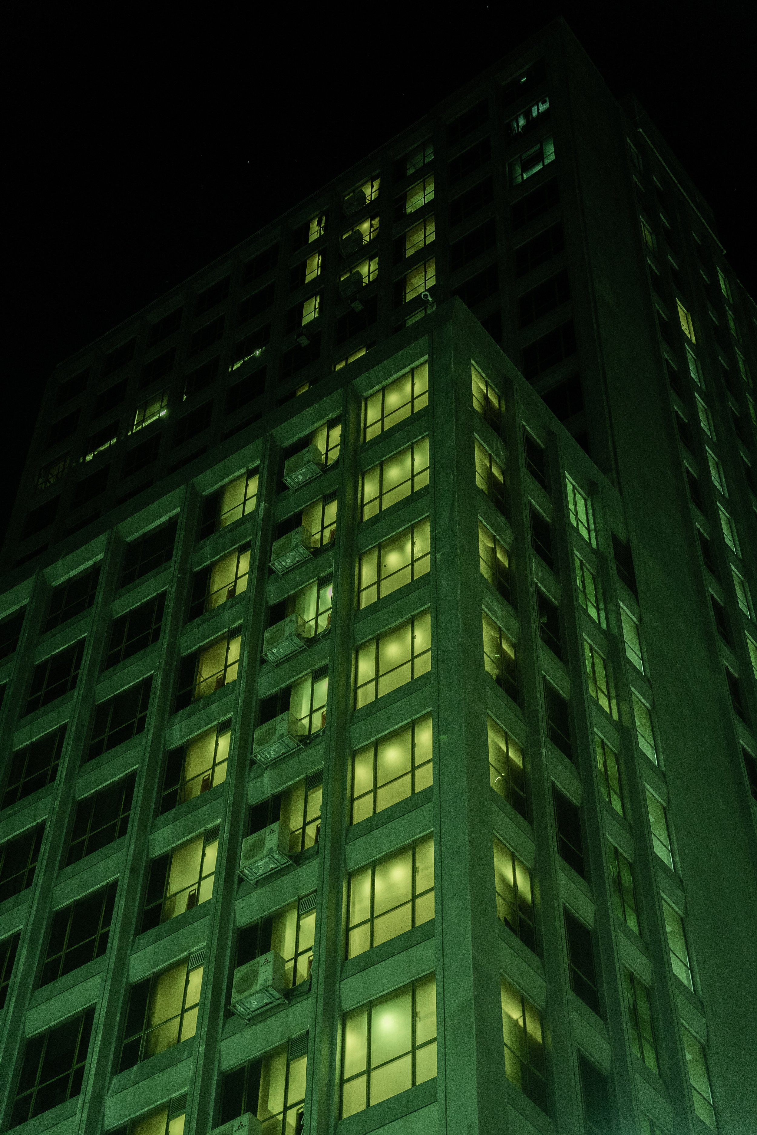 DSC08389.jpg