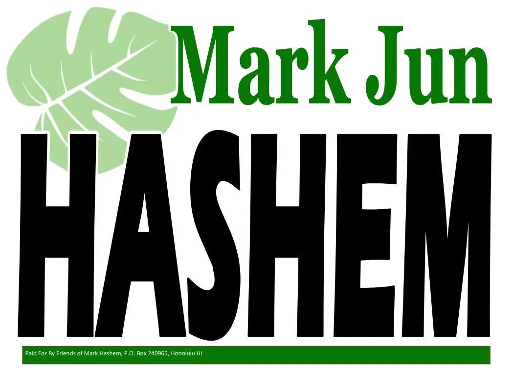 Mark Hashem for State House