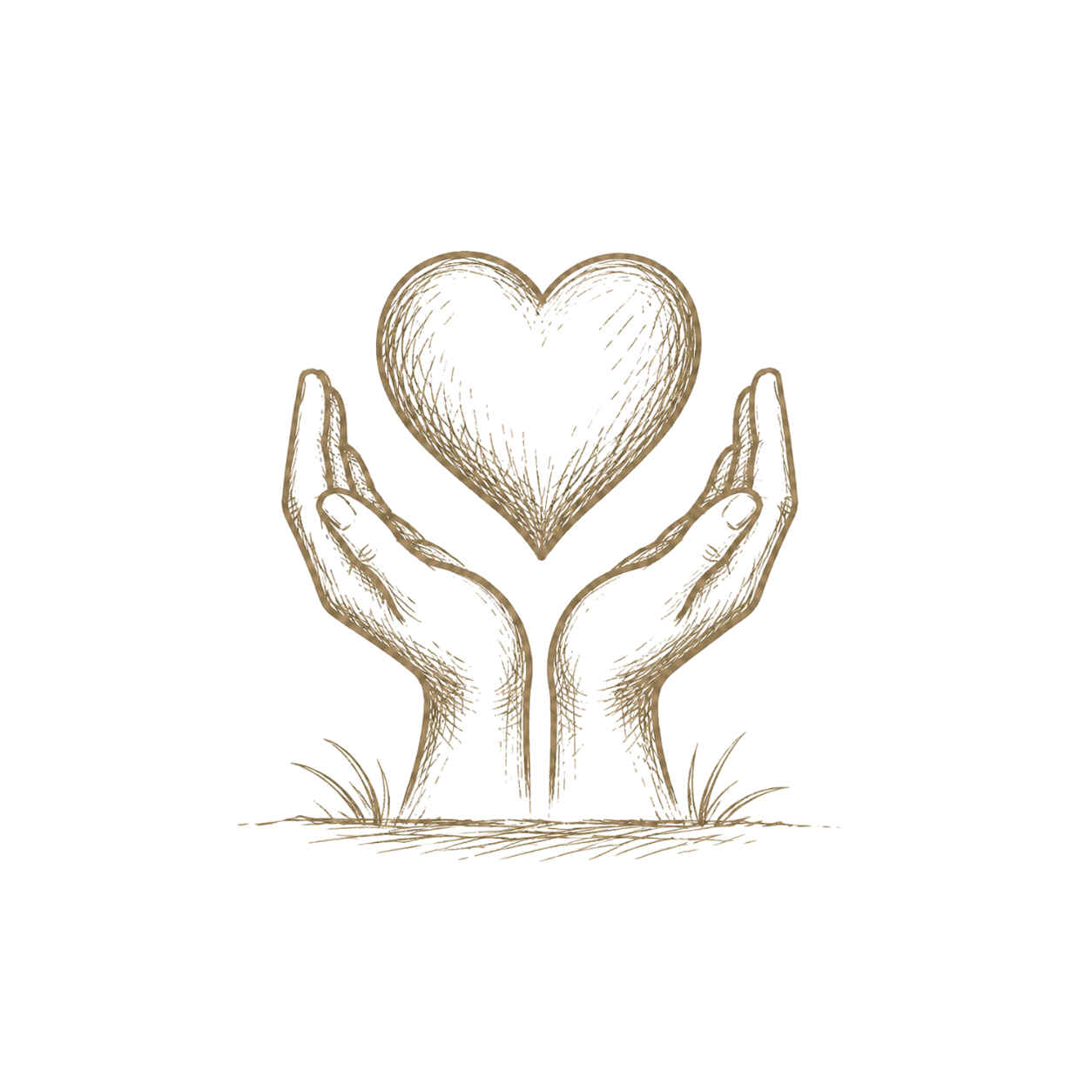 Hand-drawn illustration of two hands holding a heart against a black background.