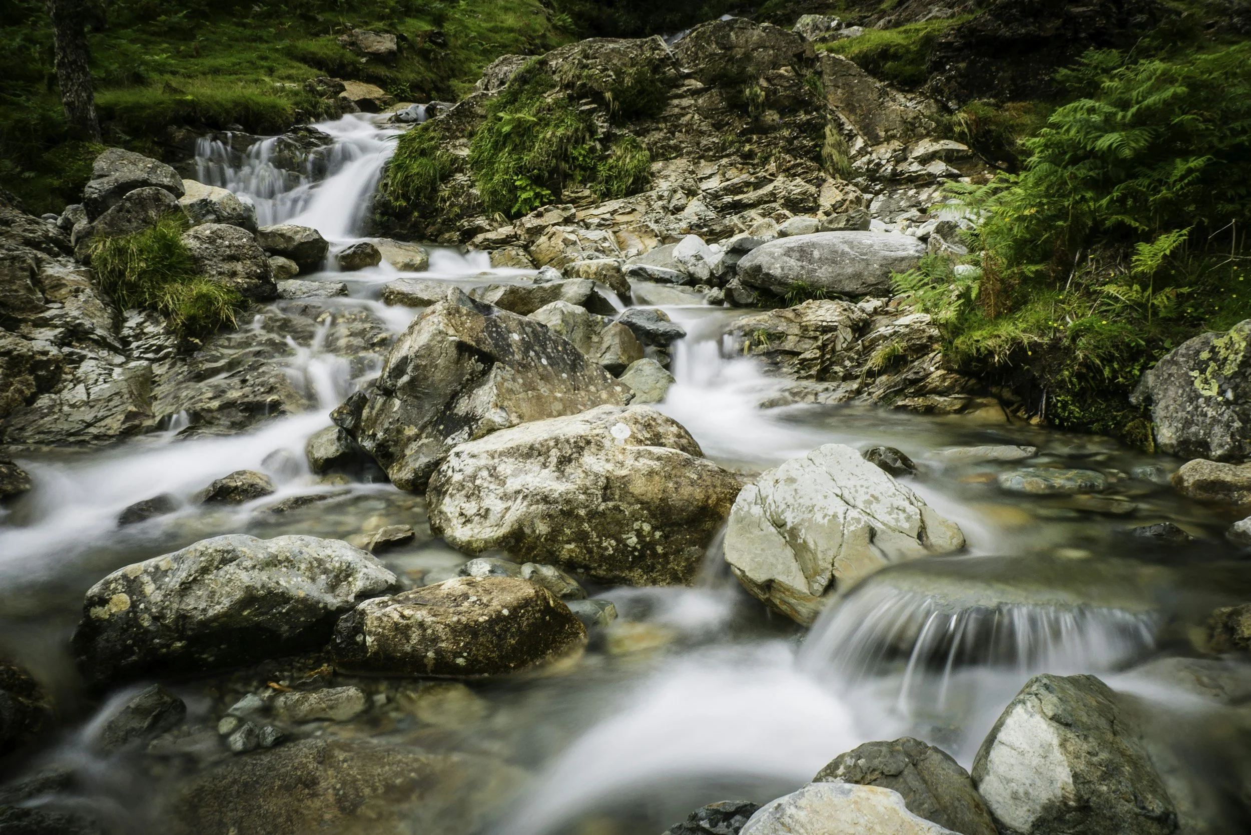 A stream flowing over rocks surrounded by green moss and lush vegetation in the Finger Lakes.