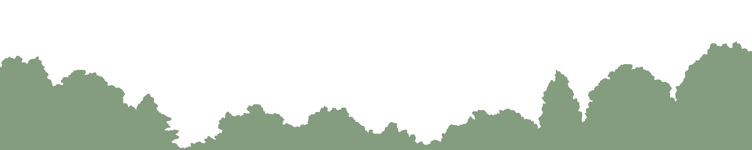 Silhouette of green trees for web design.
