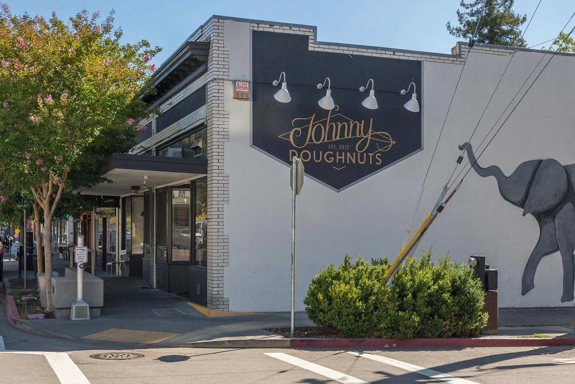 Exterior view of Johnny Daughnuts store with a large black sign displaying the name "Johnny Daughnuts," established in 2012. The building has a white brick corner, black accents, and is decorated with a mural of an elephant. There are trees, bushes, 