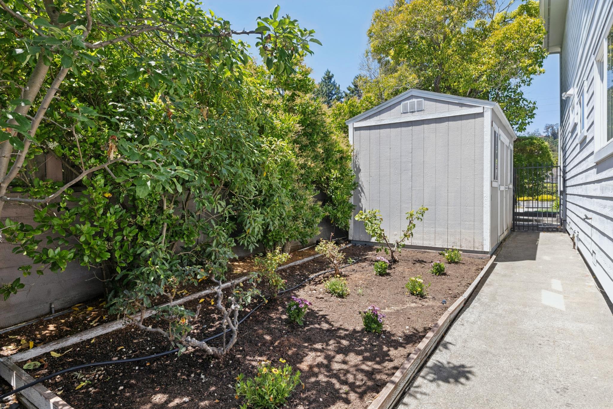A small garden with young plants, surrounded by a wooden frame, next to a white house with textured siding. A white shed is in the background, with trees and a blue sky overhead.