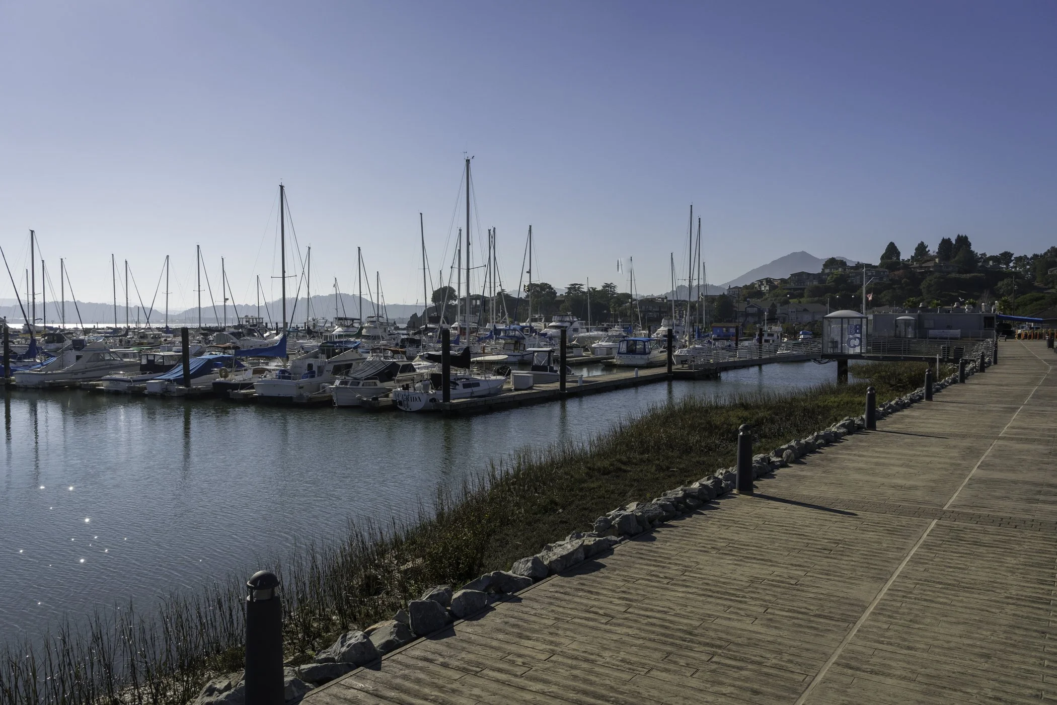 A marina with numerous sailboats and motorboats docked along a pier, with a walking path on the right side and hills with houses in the background under a clear blue sky.