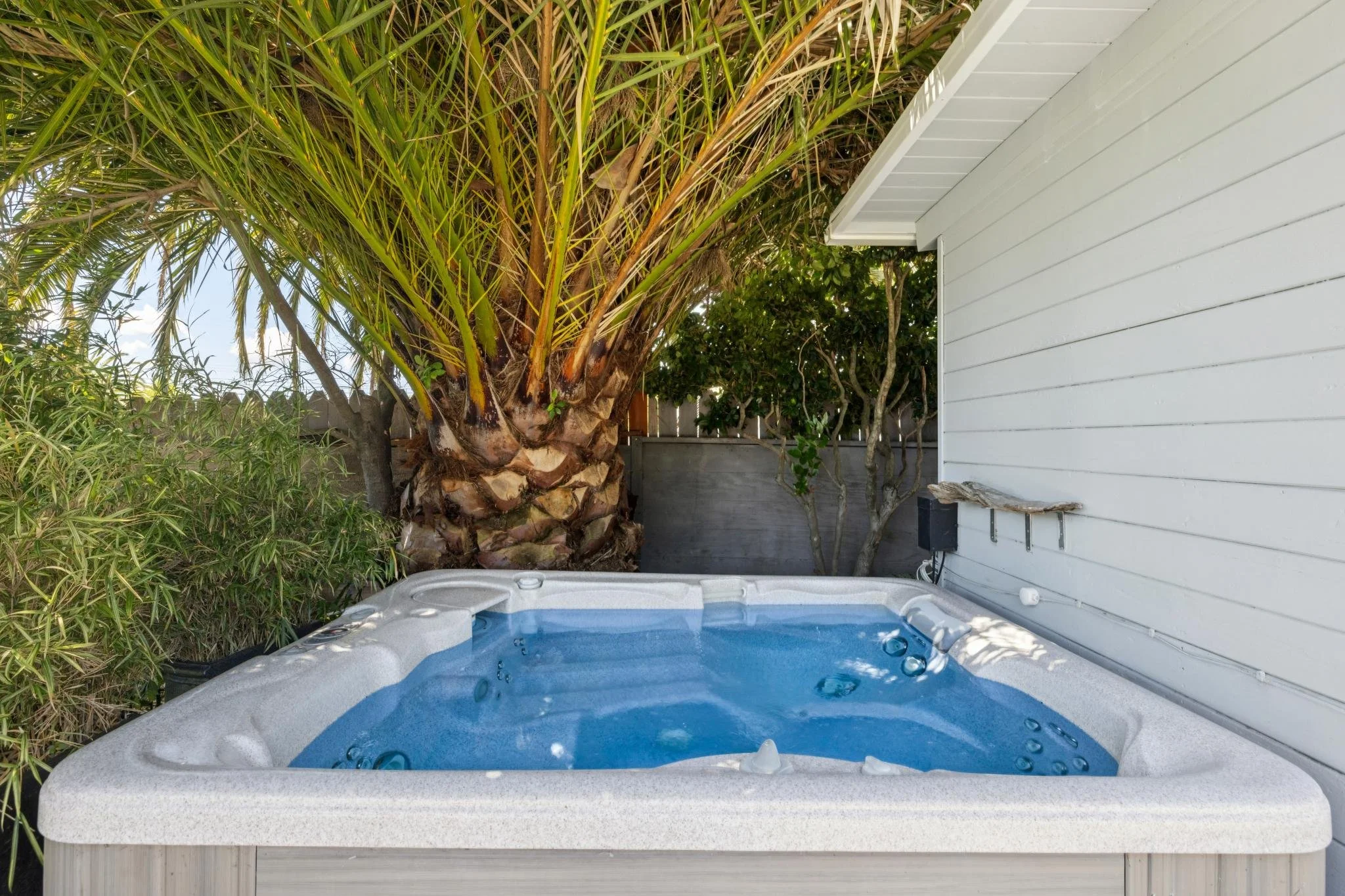 An outdoor hot tub next to a white house with a tropical tree in the background.
