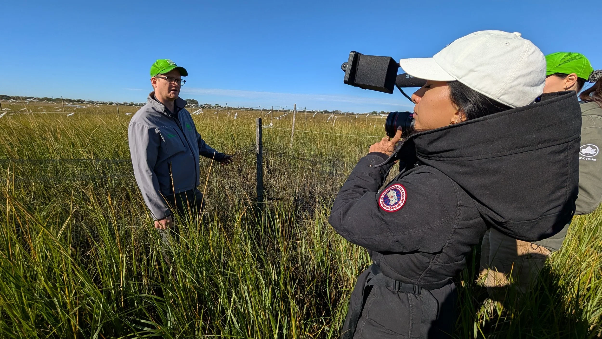 BTS New York Saltmarsh