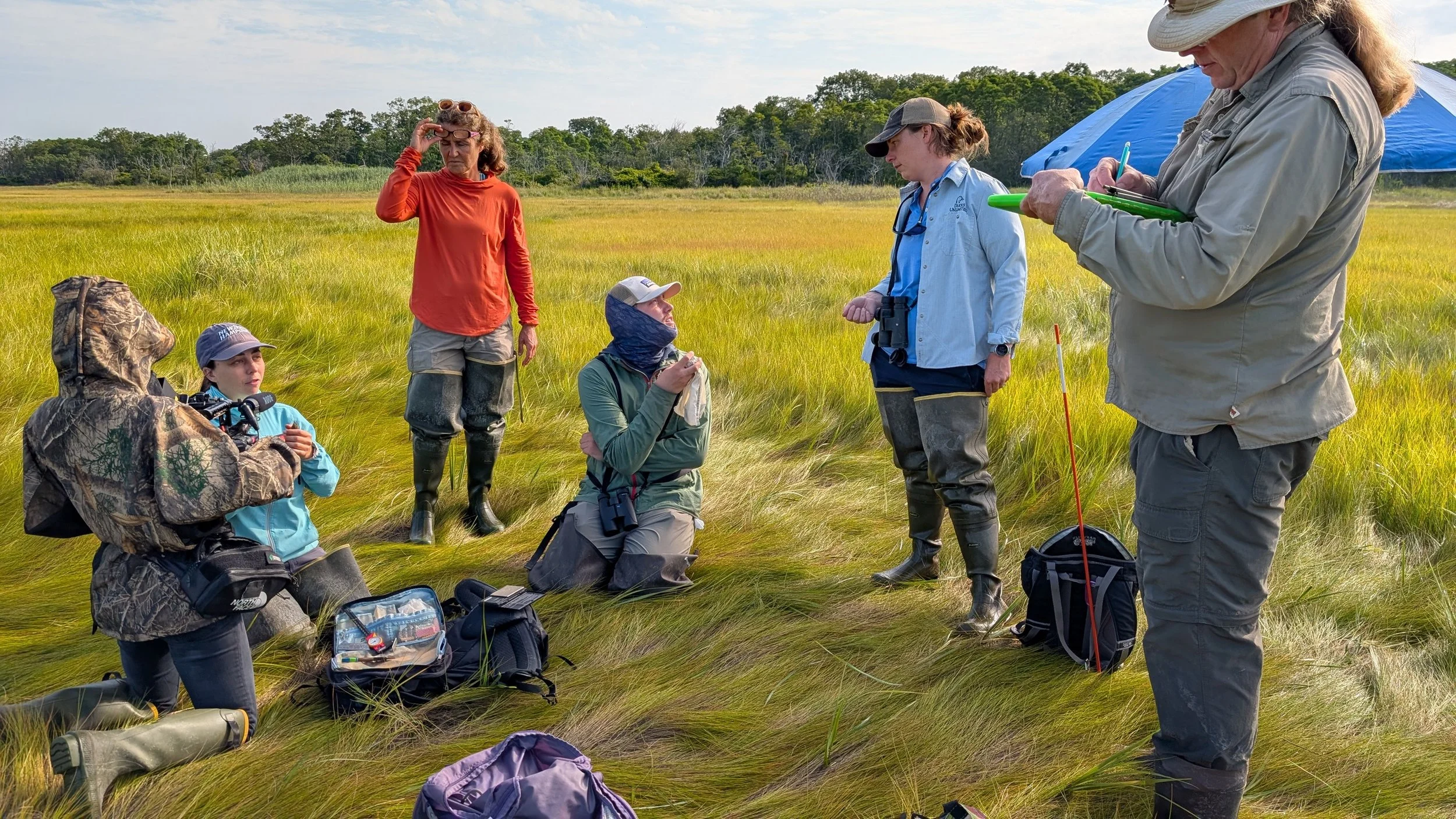 BTS Massachusetts Saltmarsh