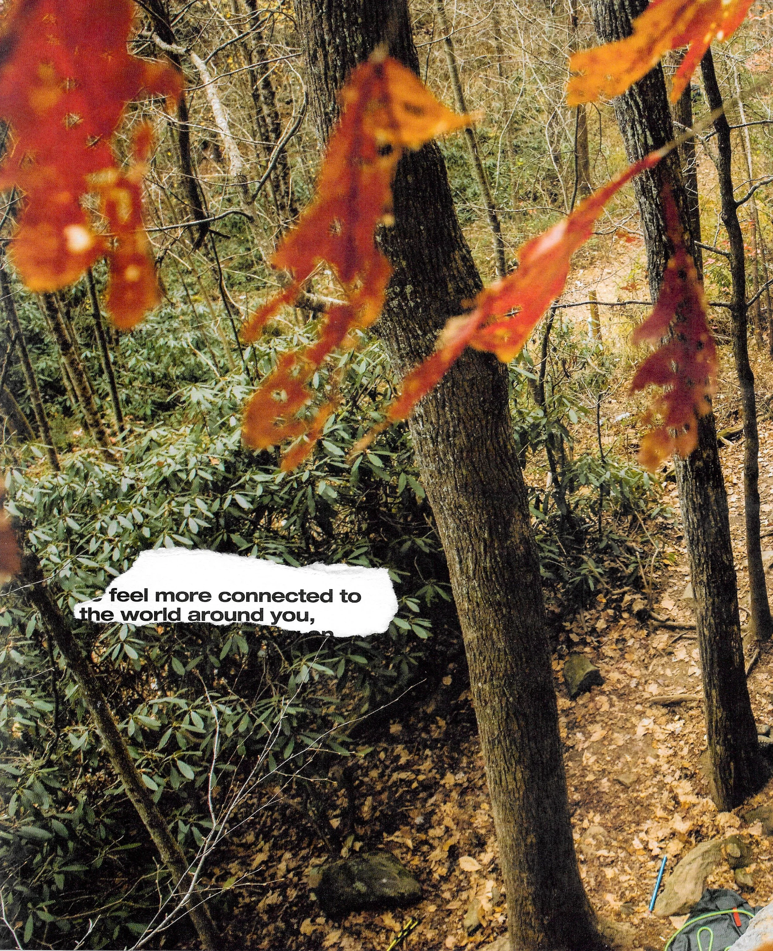 feel more connected to the world around you,.JPG