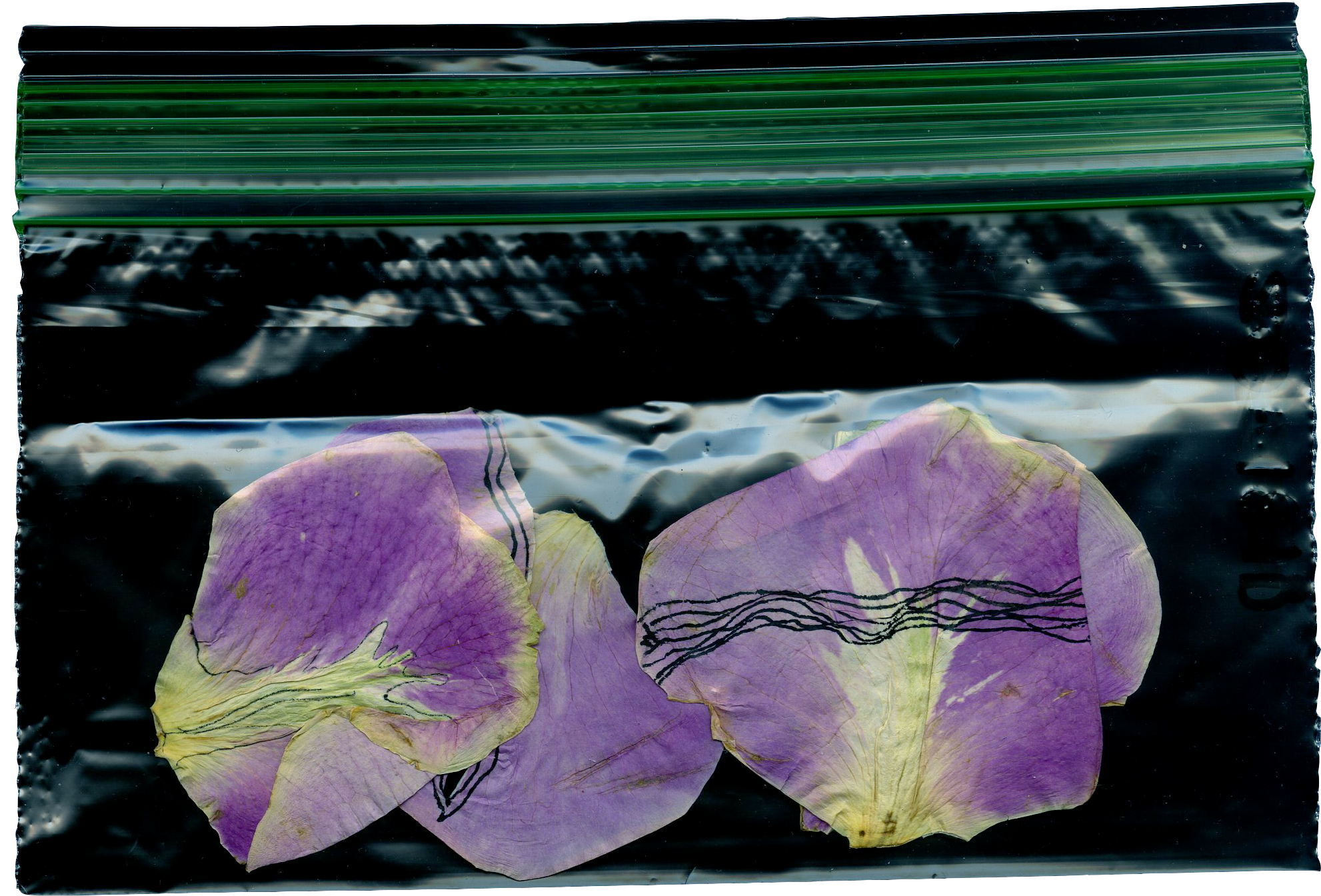 5 jan 18 a.png