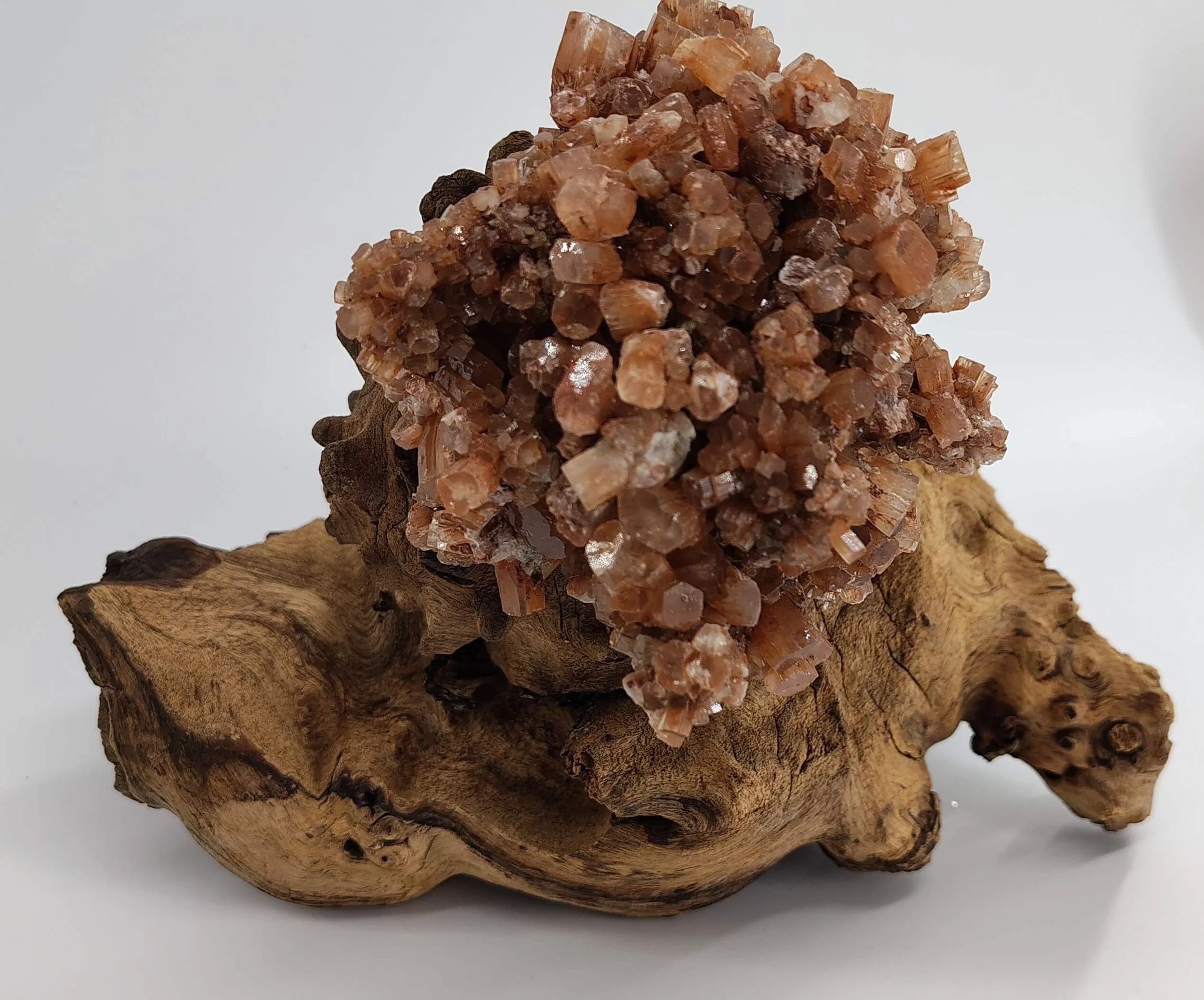 Arogonite,african hardwood 4.jpg