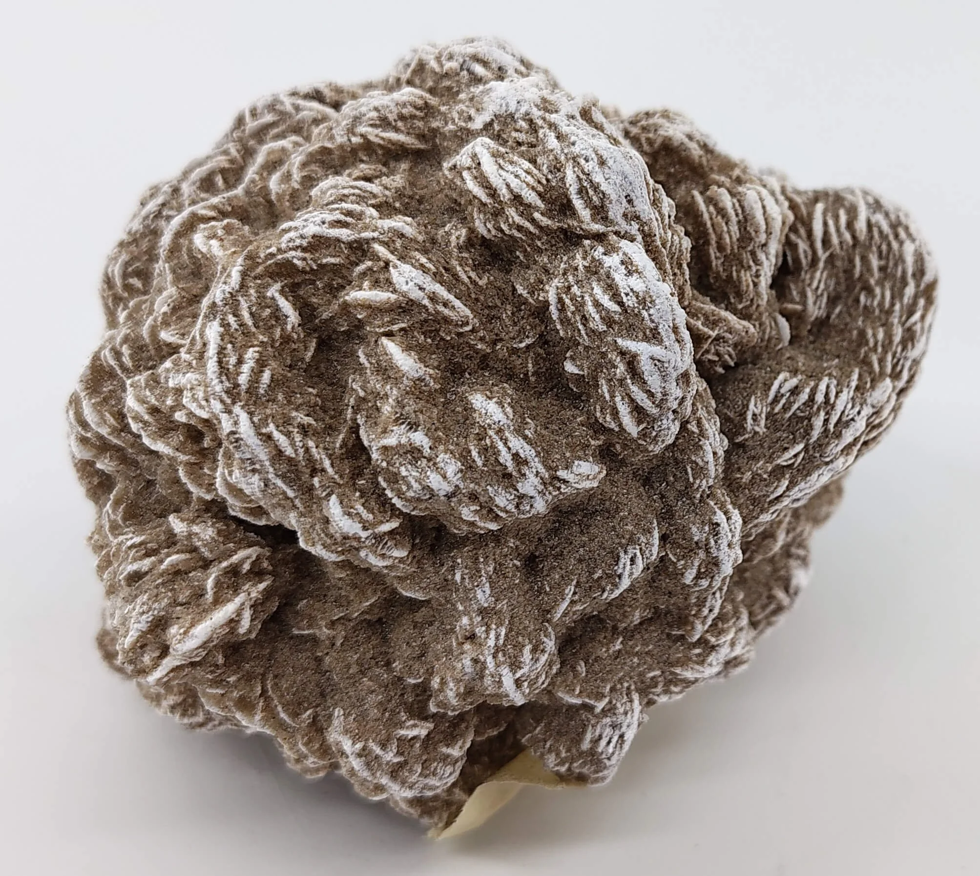 Rose selenite #04 title.jpg