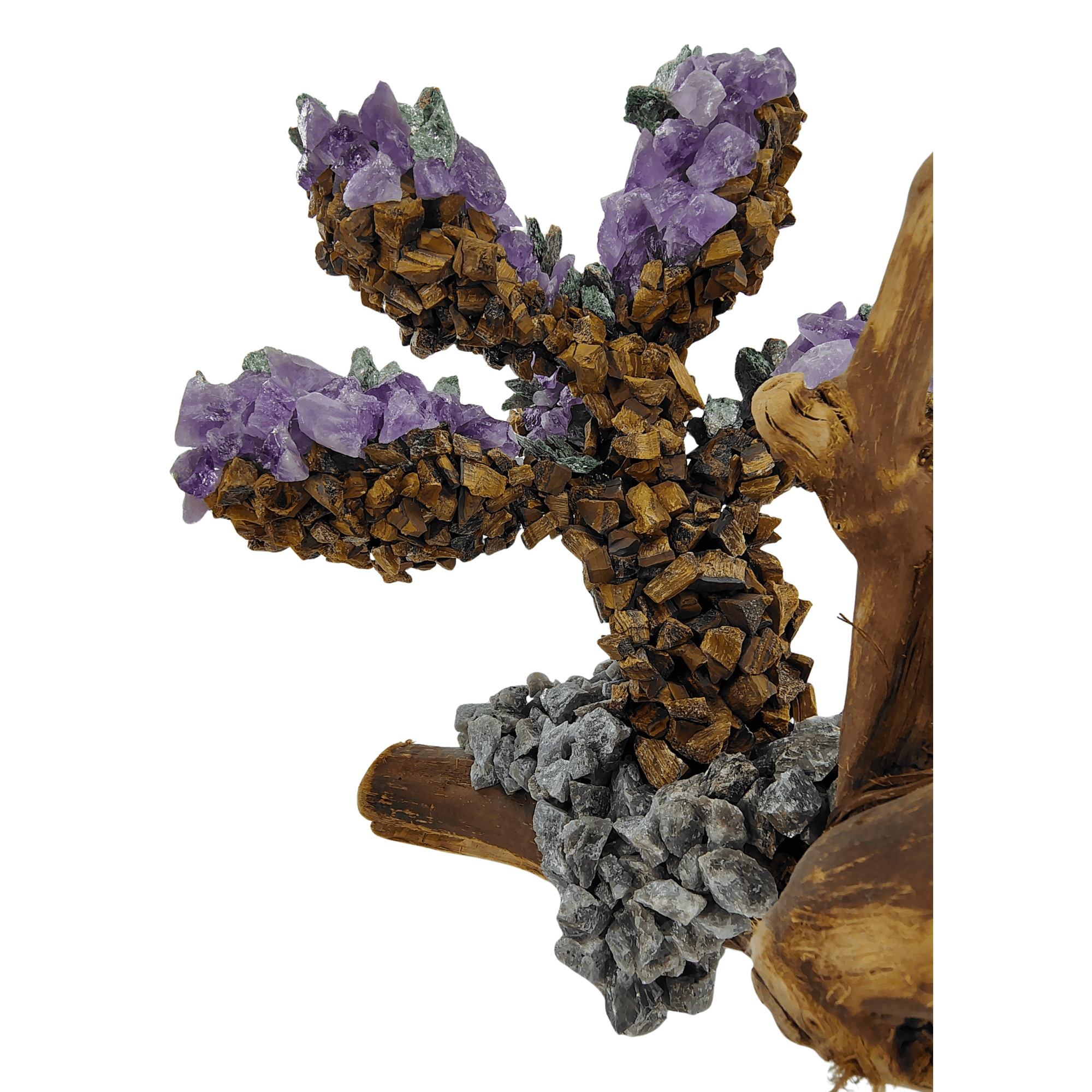 Gemstone Cactus
