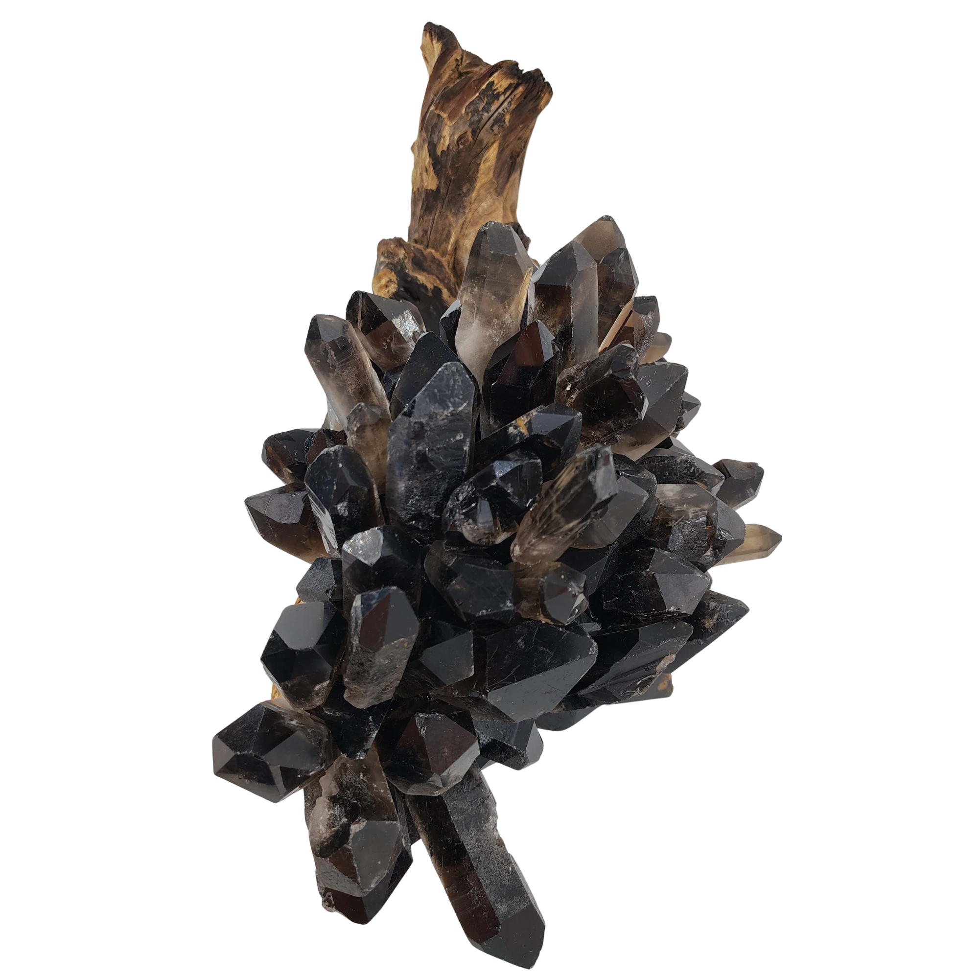 Smoky Quartz on African Hardwood