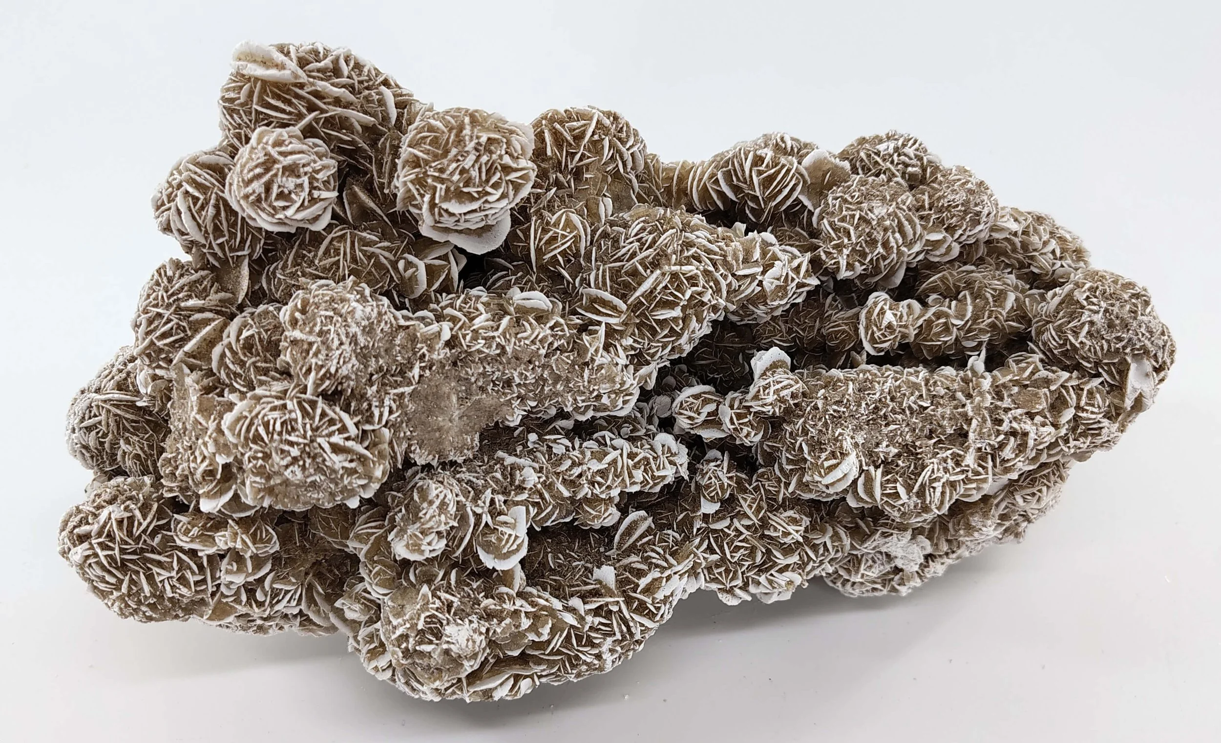 Rose selenite (#01) title.jpg