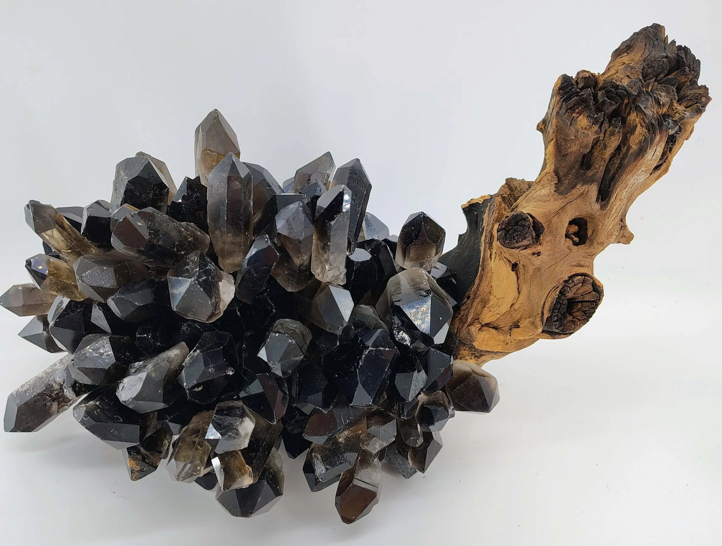 Smoky quartz on african hardwood 2.jpg