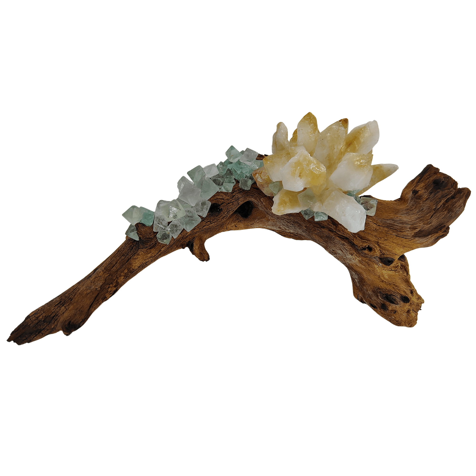 Citrine Flower with Fluorite Octahedrons on Mopani Wood