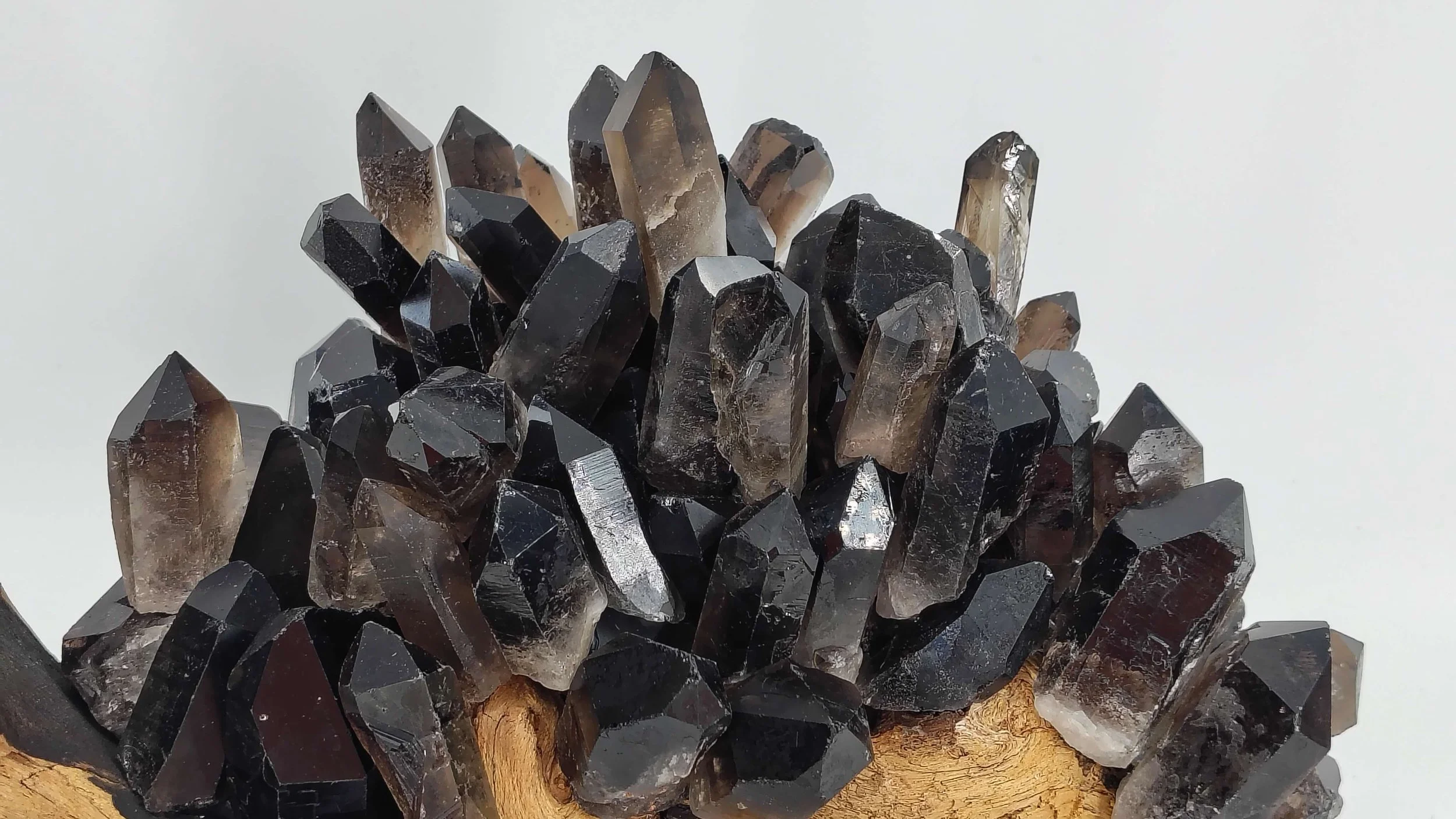 Smoky quartz on african hardwood 4.jpg