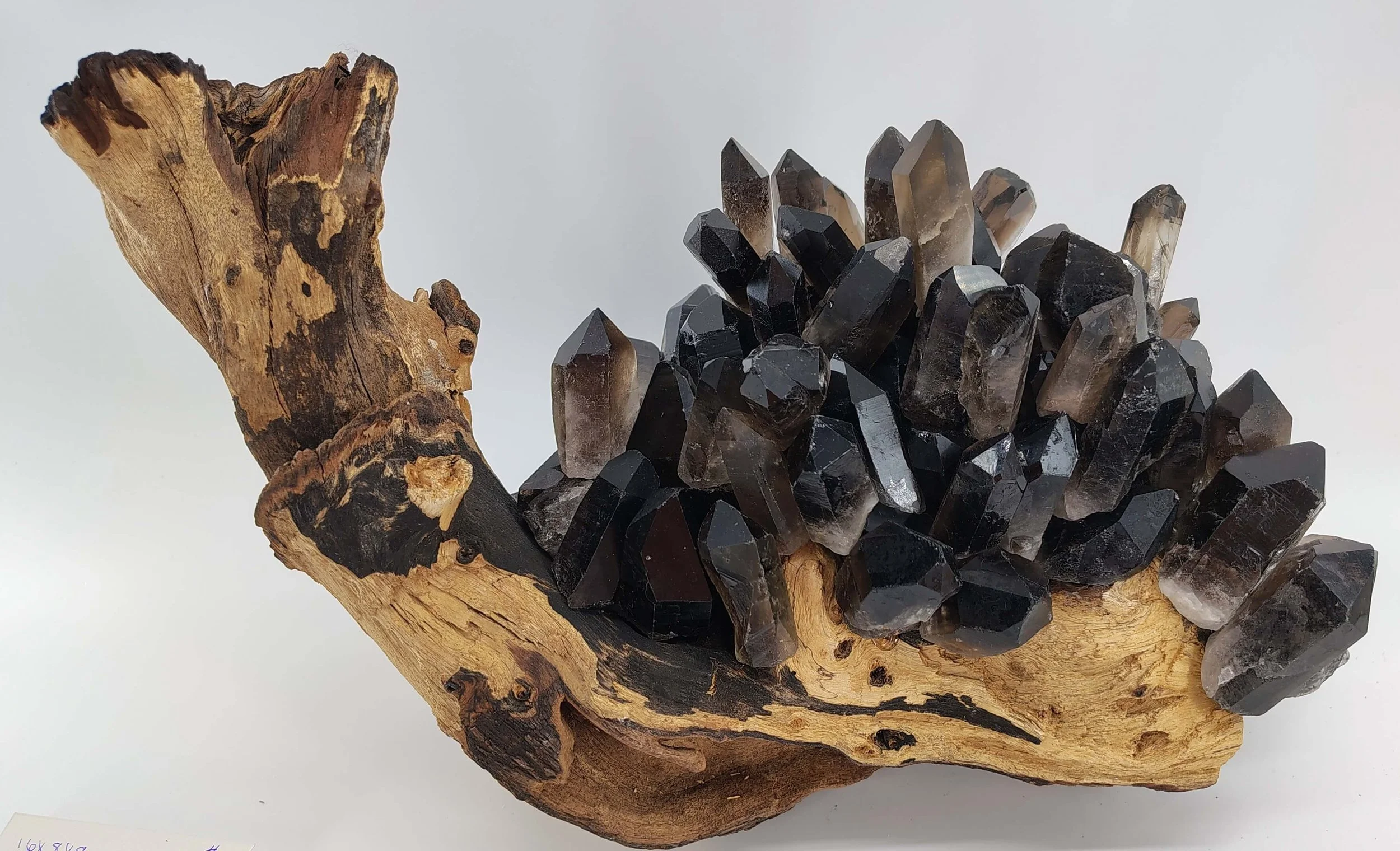 Smoky quartz on african hardwood 3.jpg