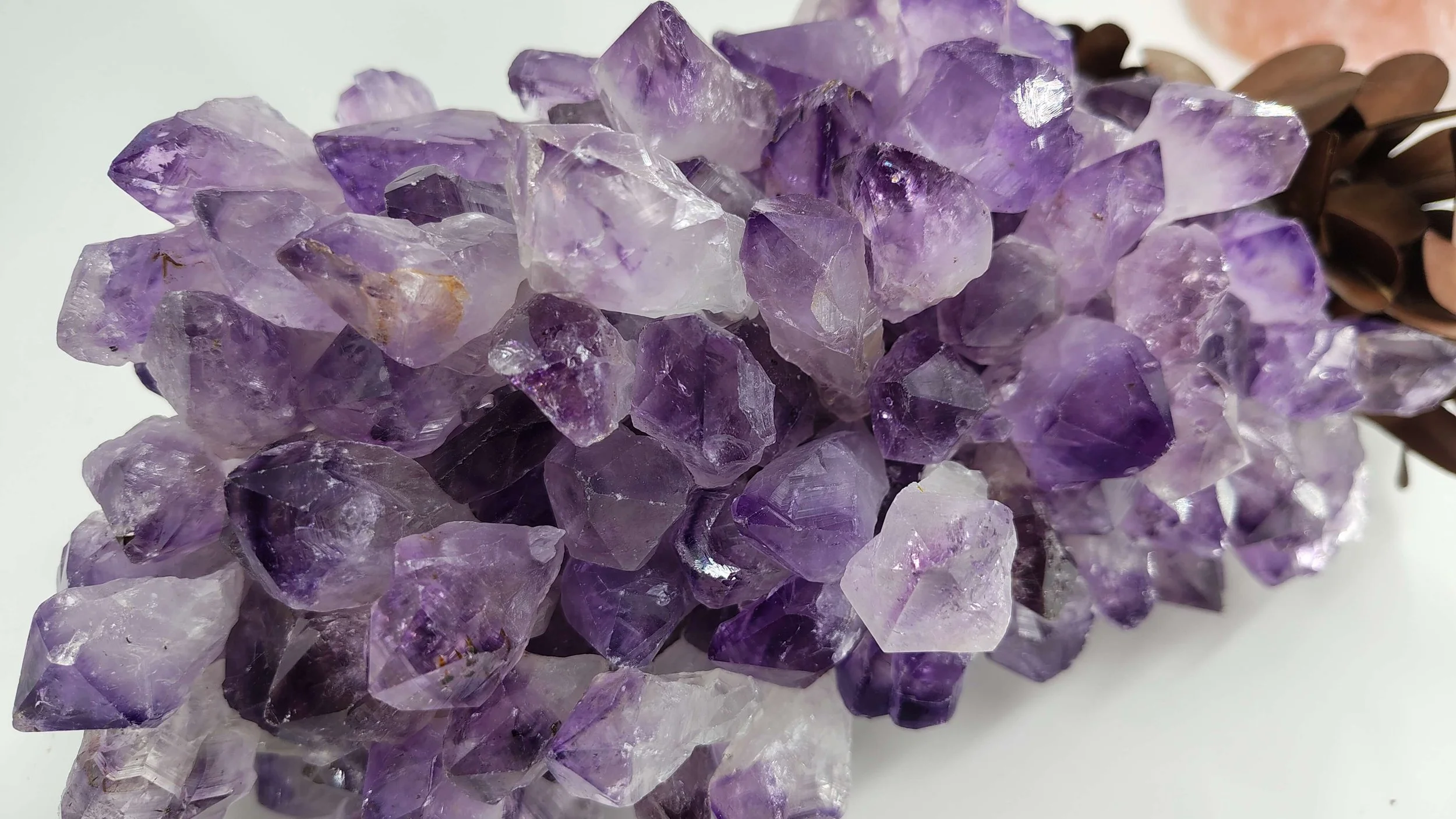 Amethyst on riverwood 3.jpg