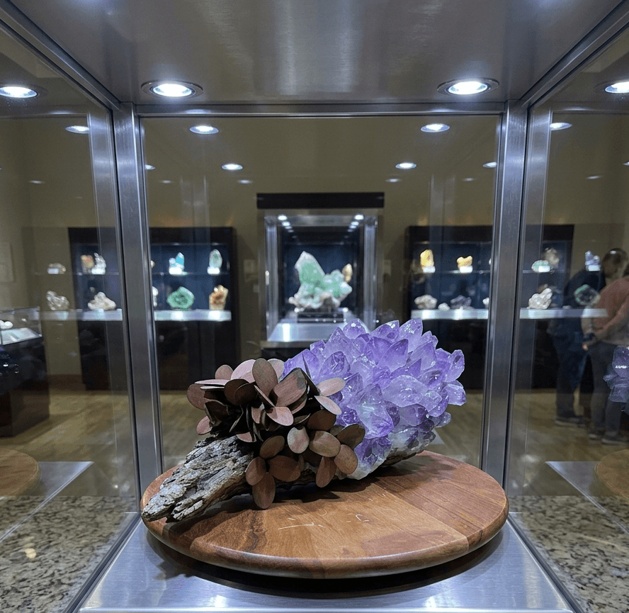 A purple mineral cluster with brown and black petrified wood, displayed on a wooden pedestal inside a glass showcase at a museum.