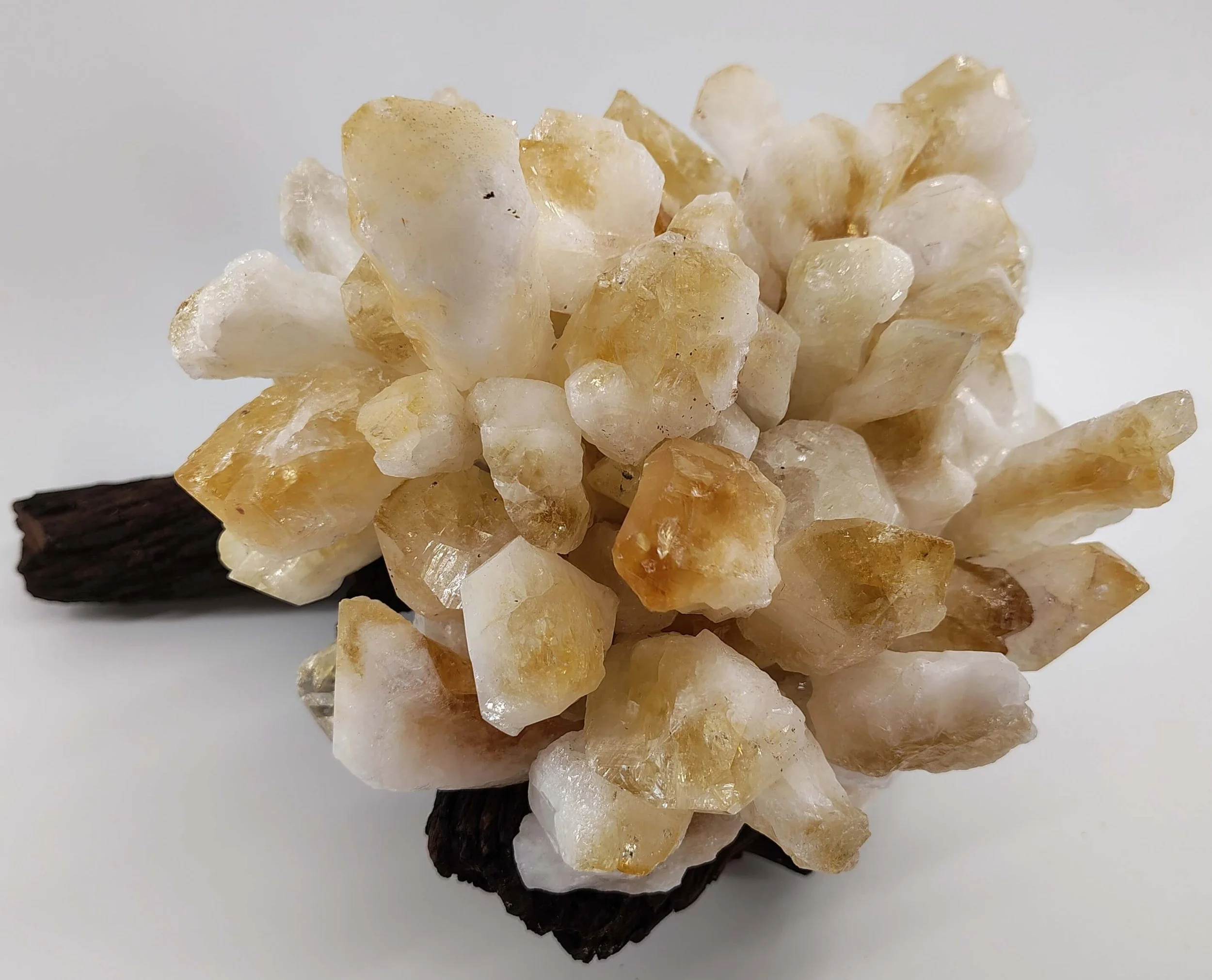 Citrine cluster on mopani 3.jpg