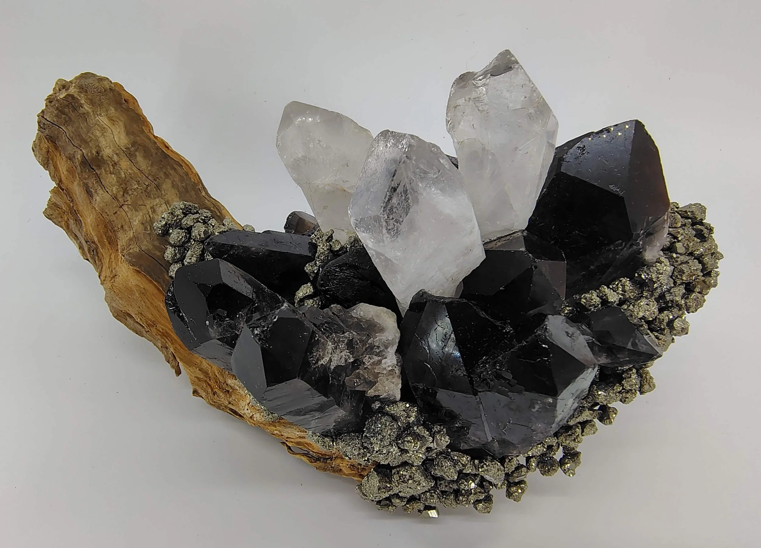 Clear quartz,smokey quartz,pyrite on hardwood 3.jpg