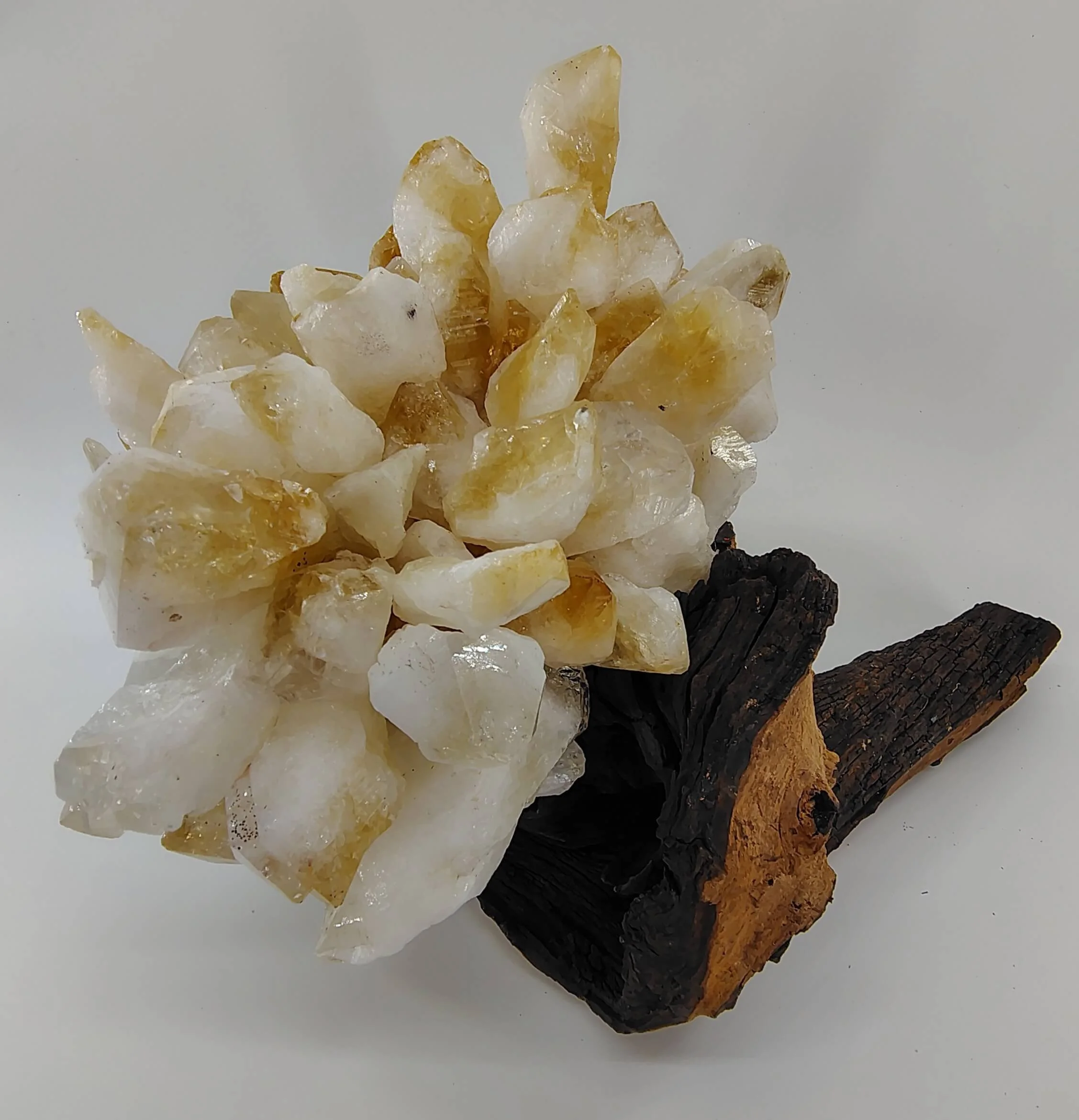 Citrine cluster on mopani 2.jpg
