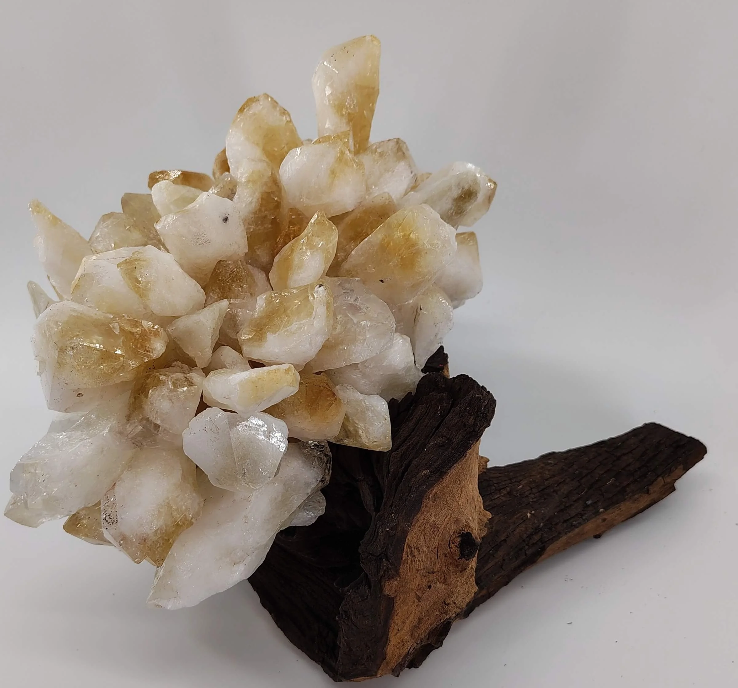 Citrine cluster on mopani 5.jpg