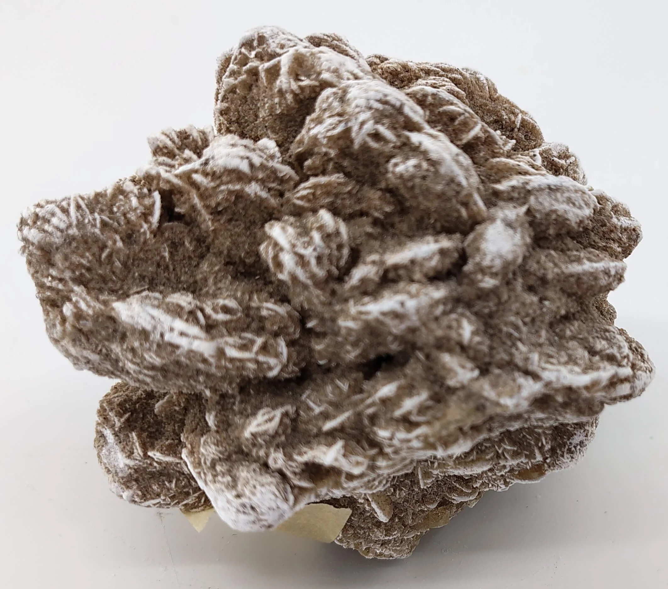 Rose selenite #04 2.jpg