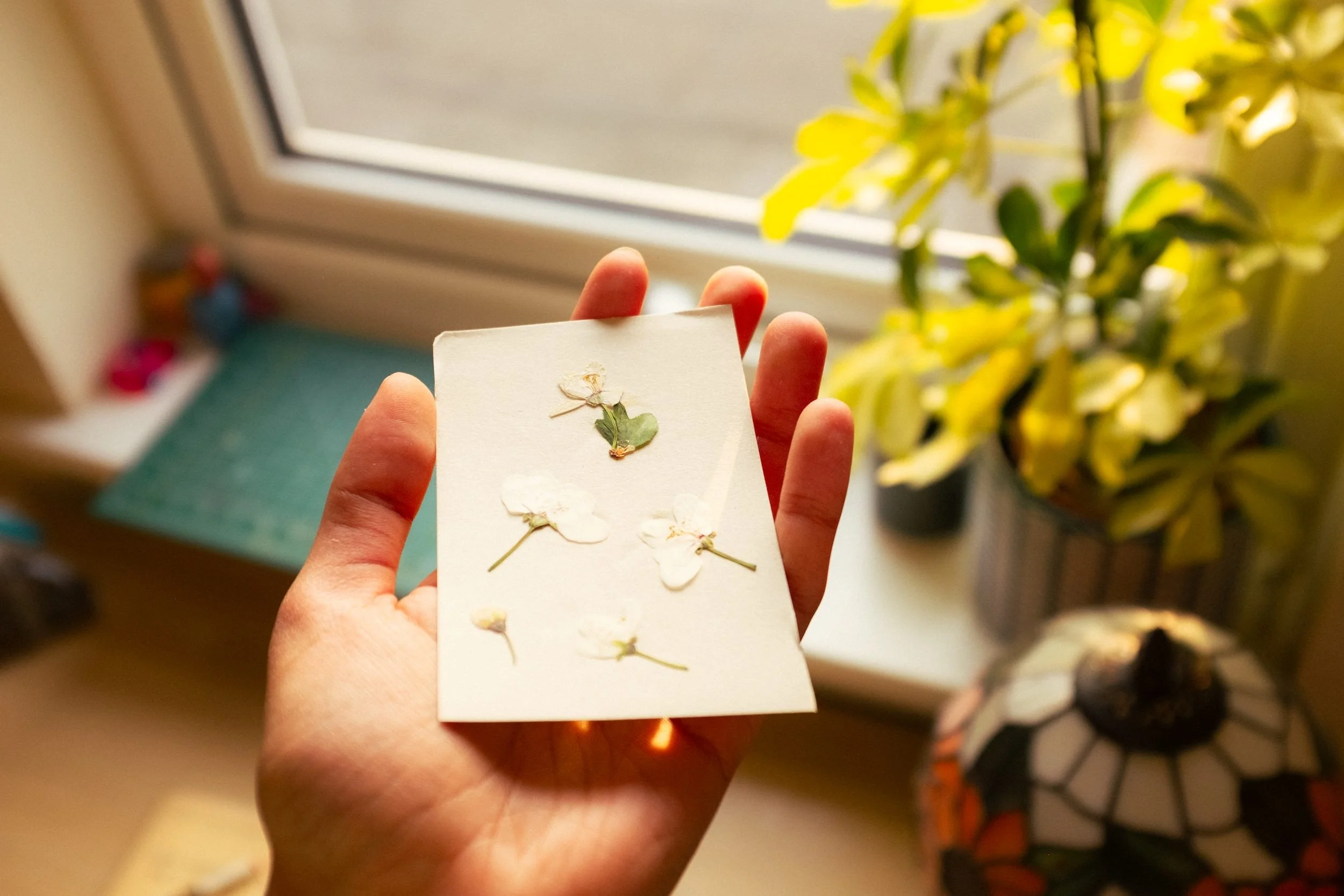 photo of me holding a piece of card with pressed flowers on it