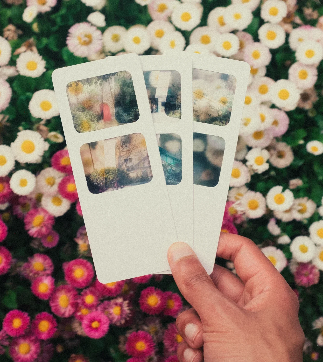 'slide film' photo bookmark (norwich)