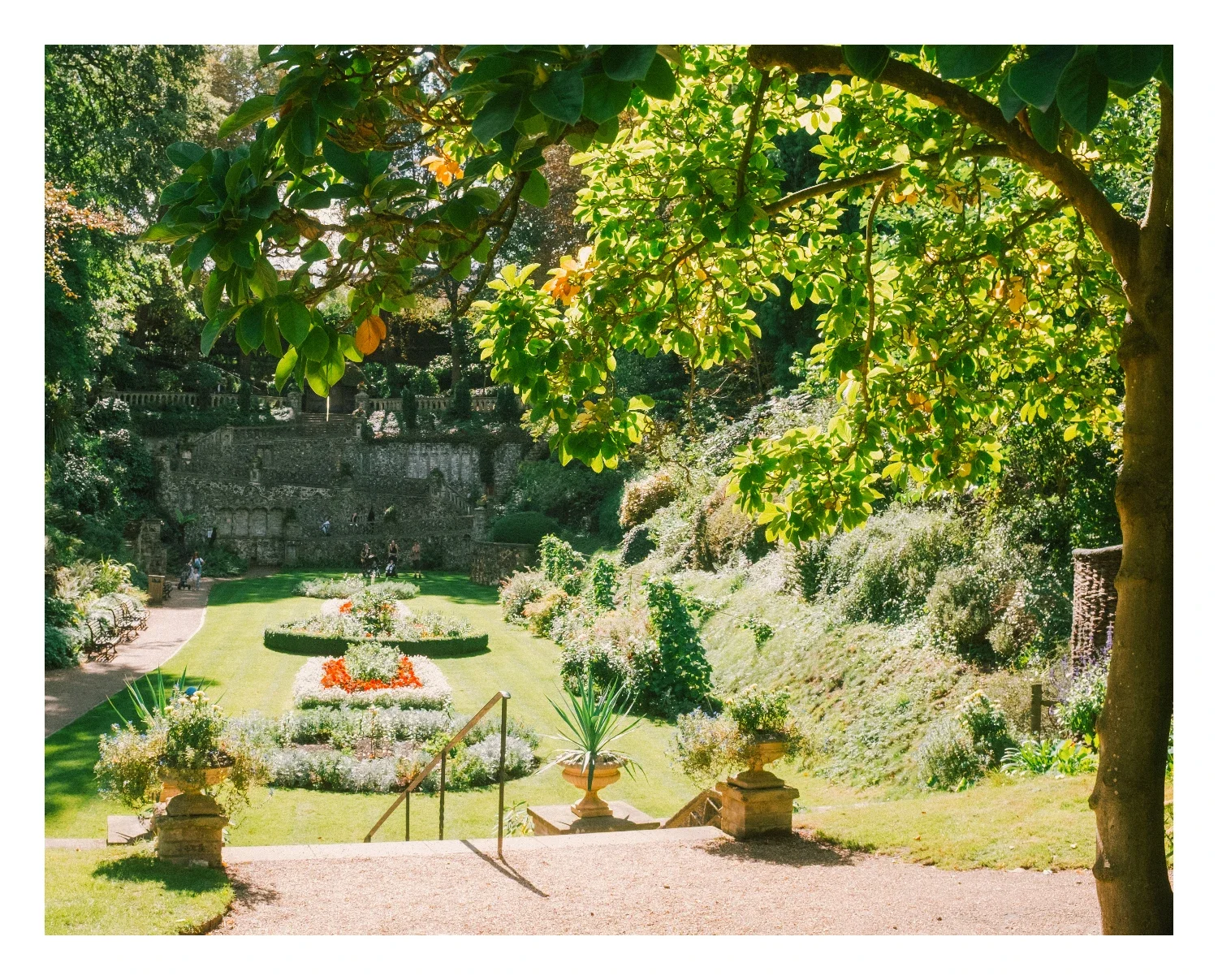 plantation.webp