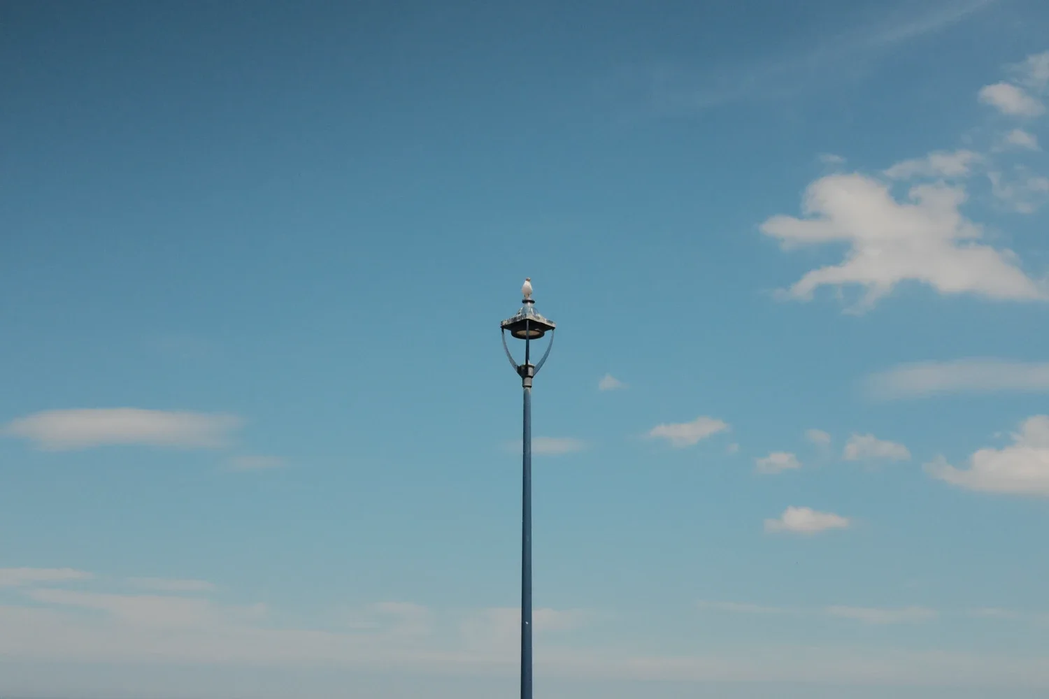 pixpress-DSCF4737.webp