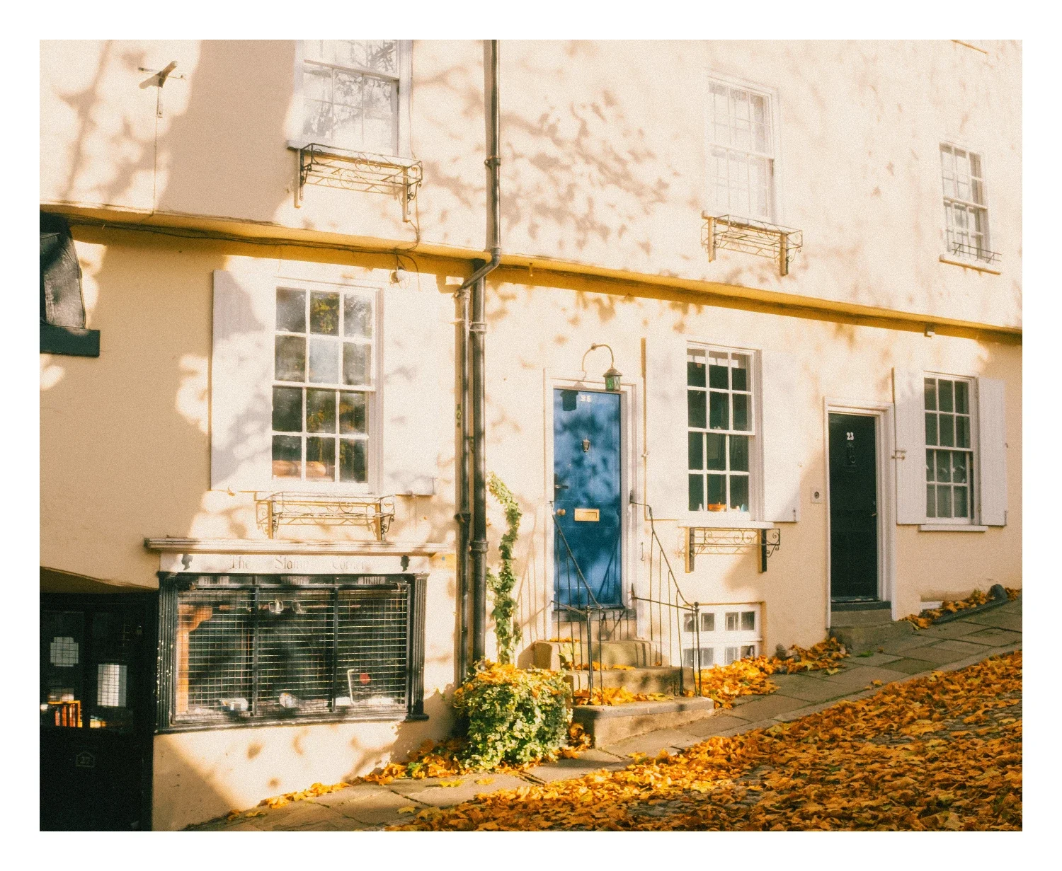 elm hill.webp